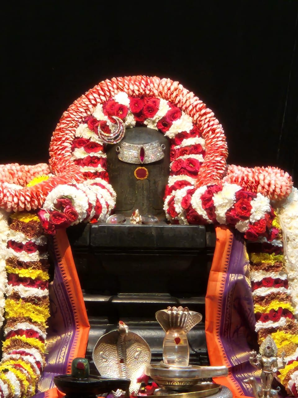 ಪಂಚಾಮೃತ ಸಹಿತ ಏಕವಾರ ರುದ್ರಾಭಿಷೇಕ / Panchamrutha Sahita Ekavara Rudrabhisheka 
