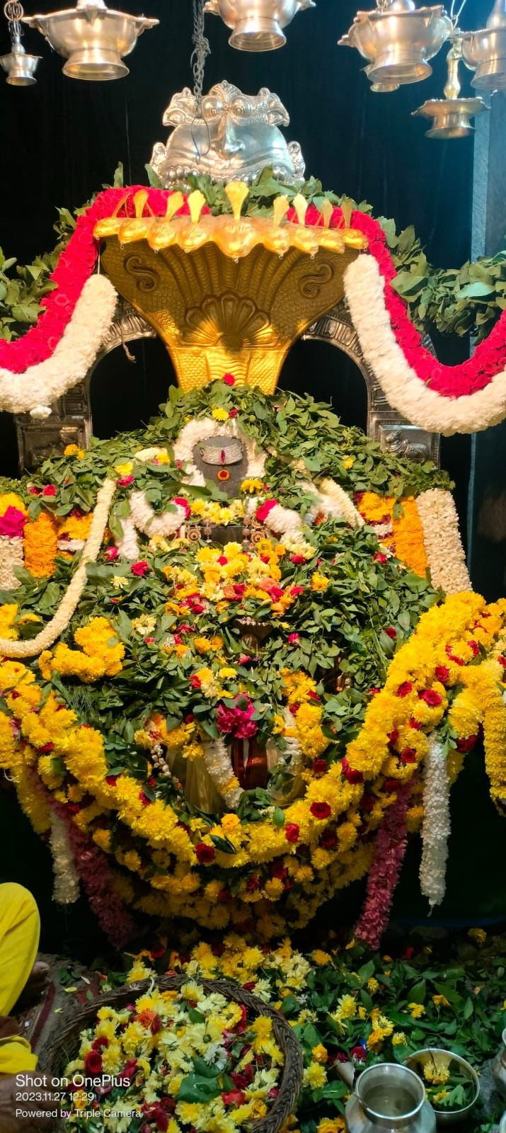 ಪ್ರತೋಷ ಪೂಜೆ / Pradosha Pooja