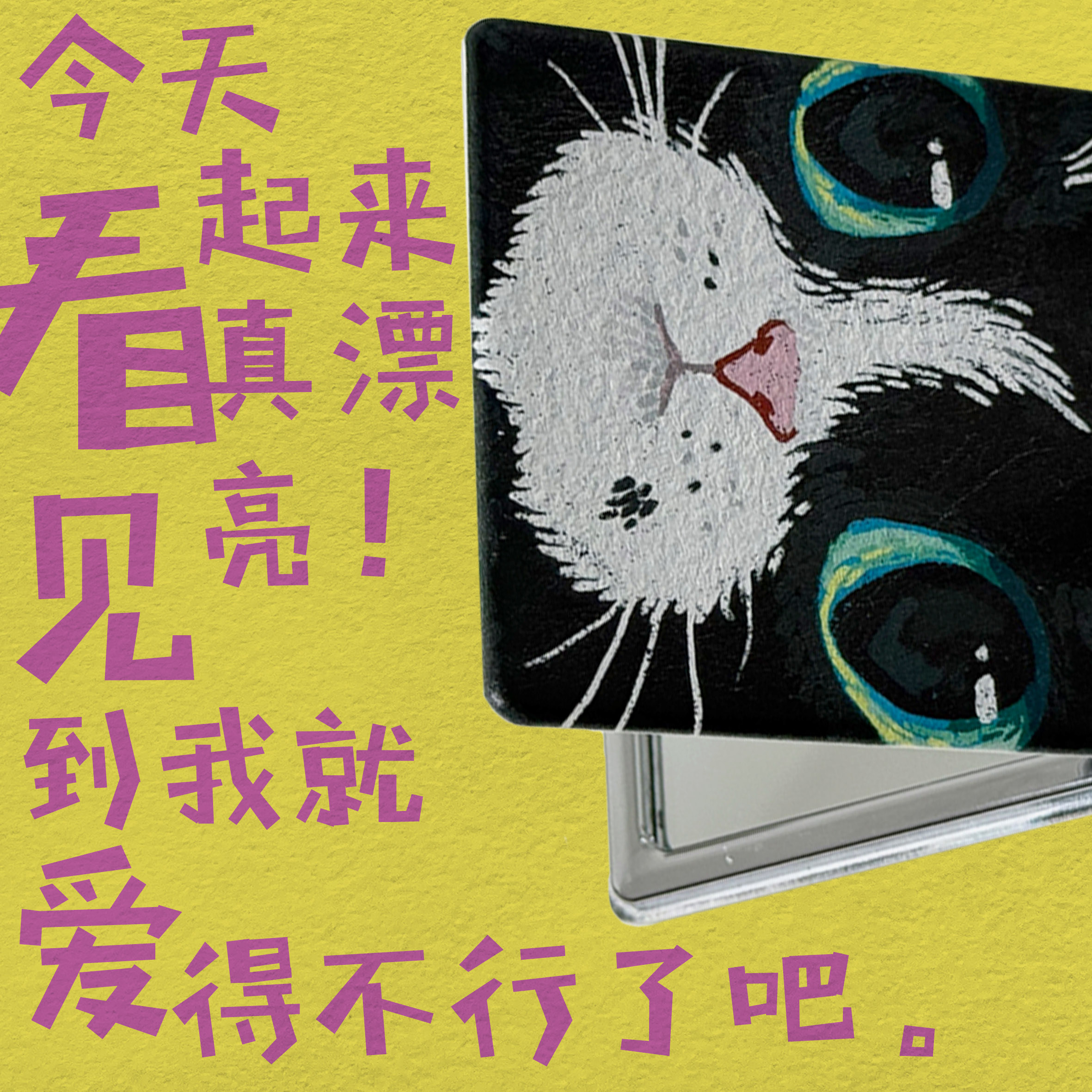 家貓 太極 - PU便攜化妝鏡