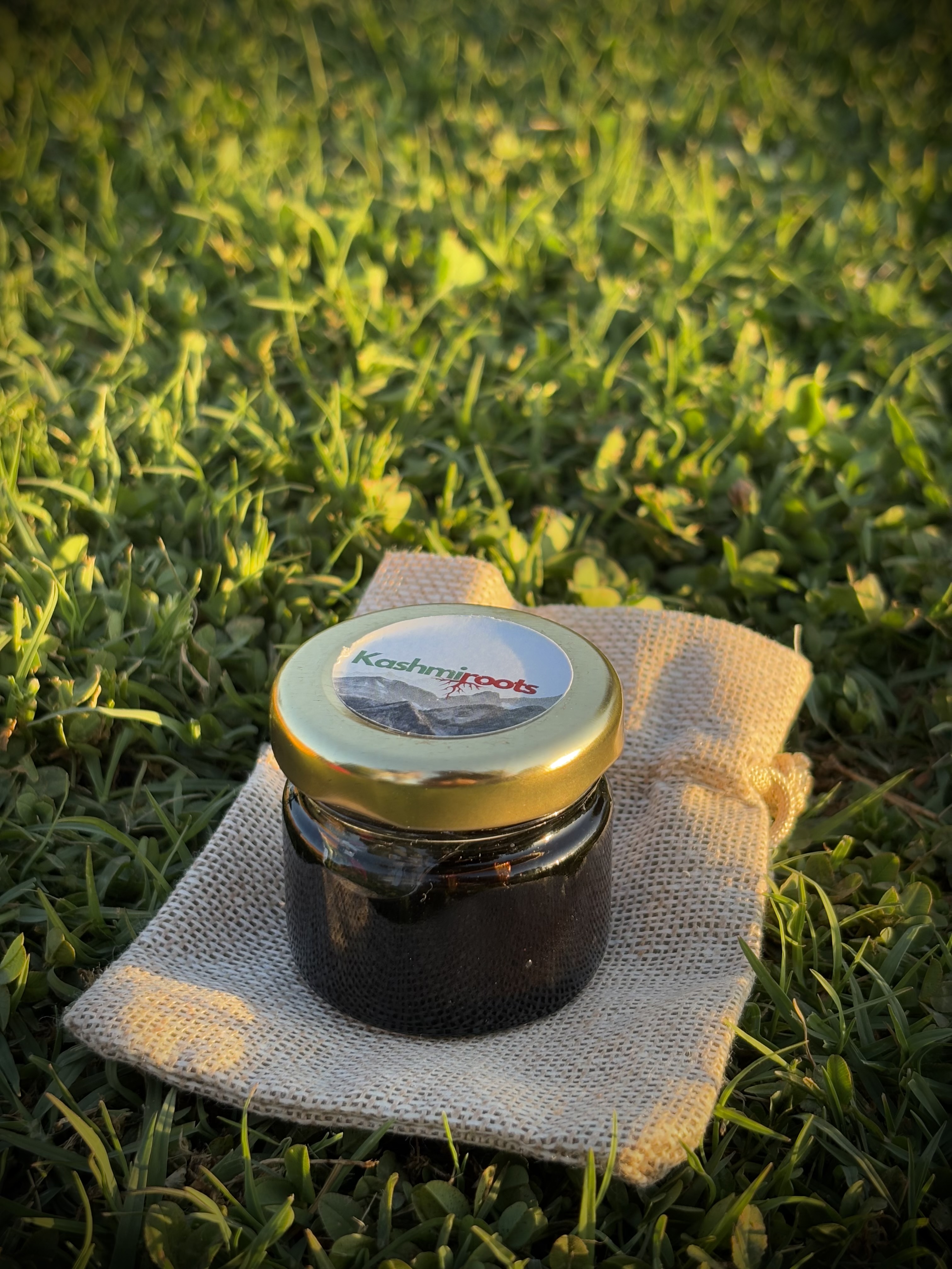 Shilajit (20 gm)