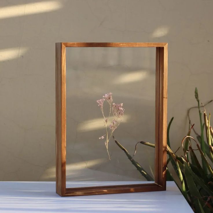 DOUBLE GLASS FRAMES