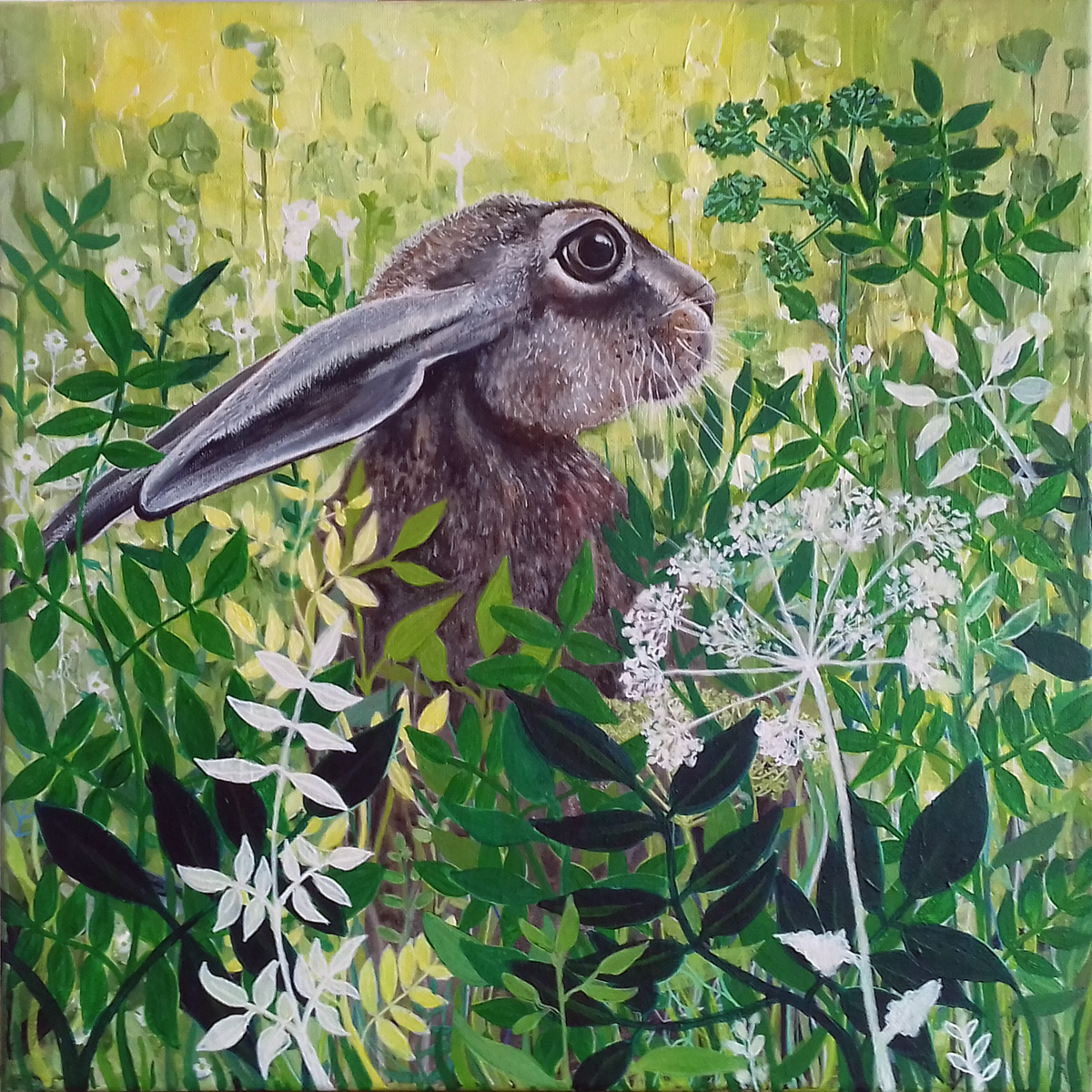 Hare's in the weeds