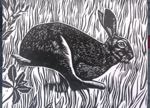 The hare and the t... tractor 