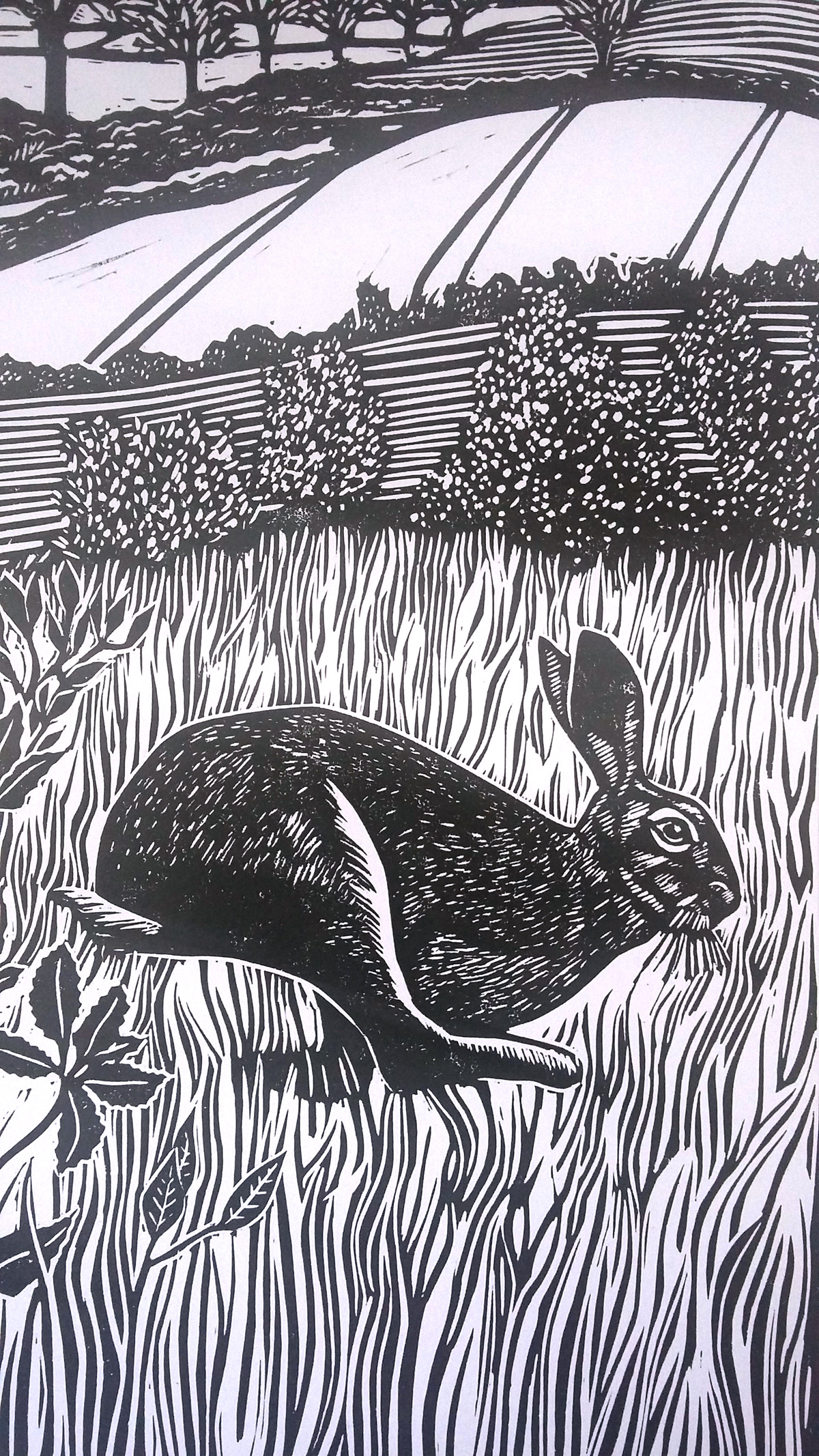 The hare and the t... tractor 