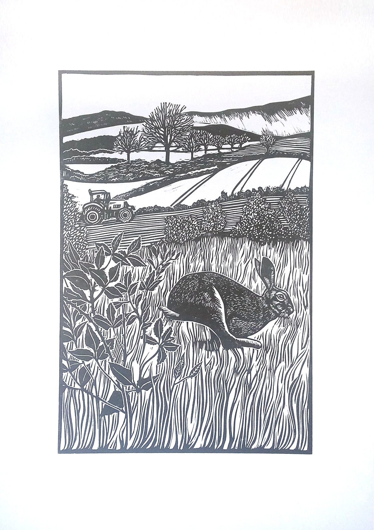 The hare and the t... tractor 