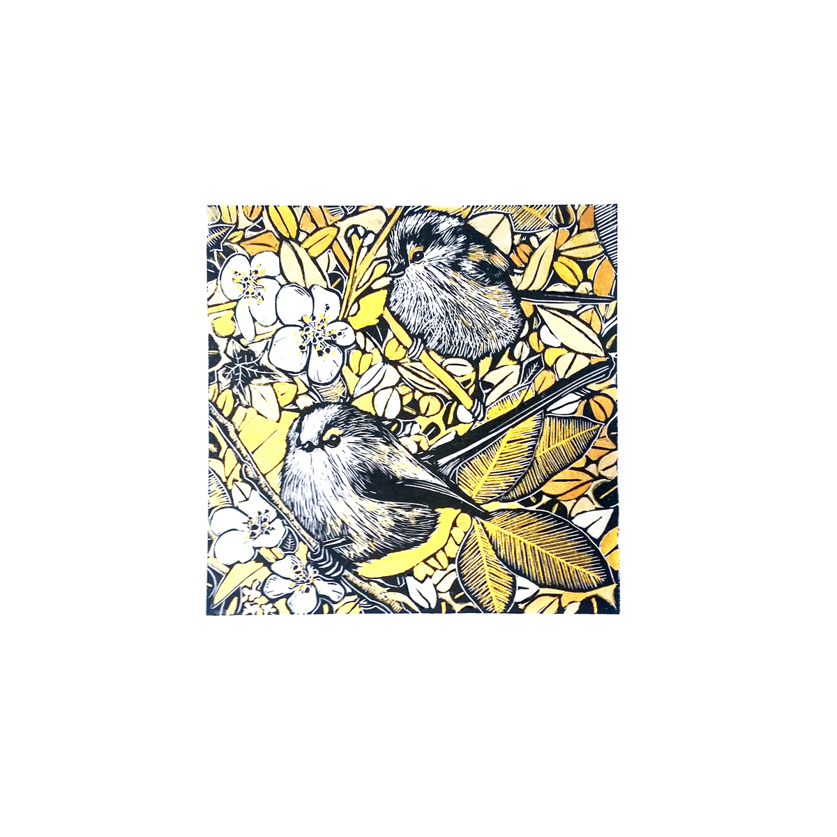 The hedgerow long tails (golden)