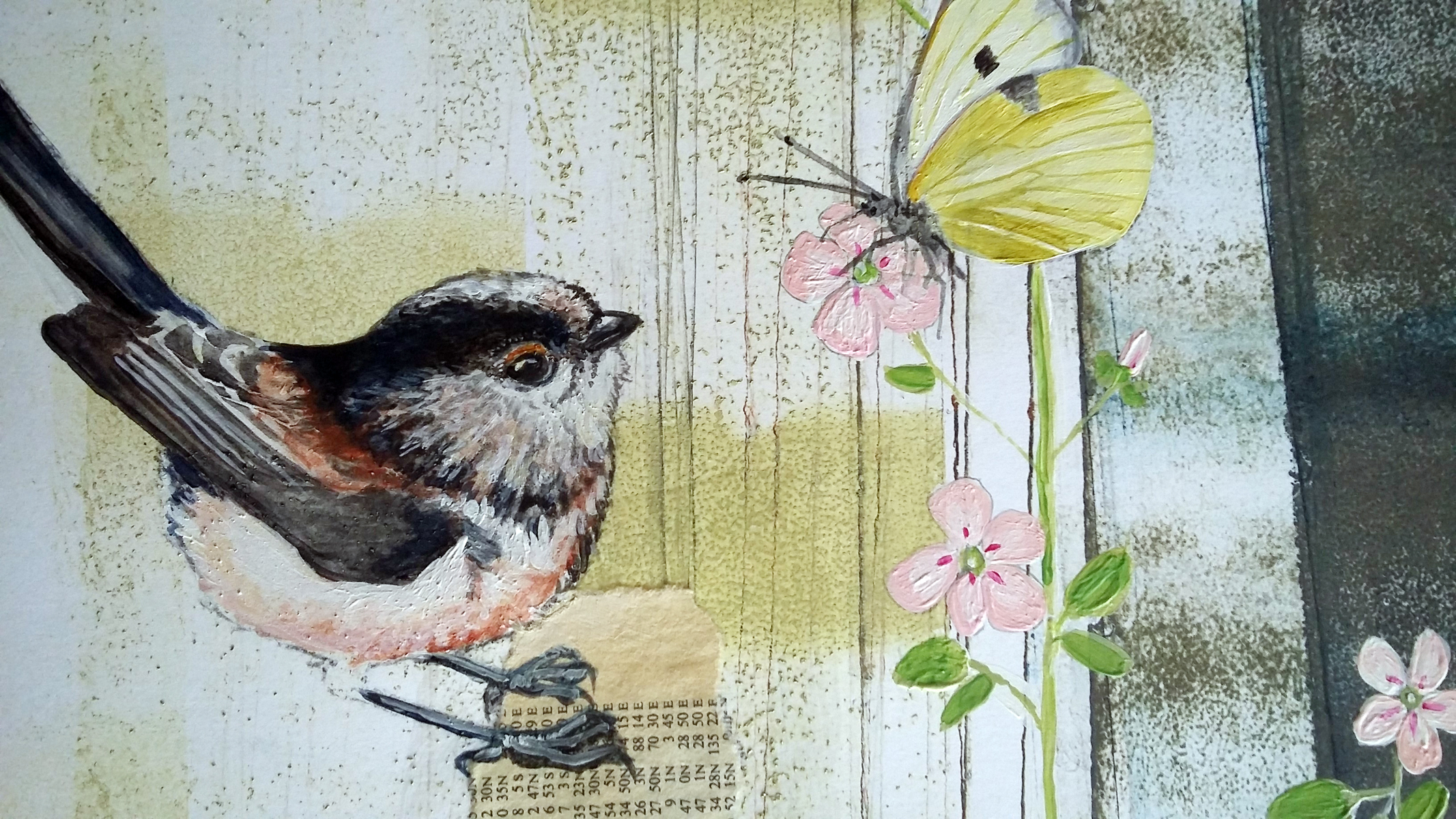 Hello little butterfly