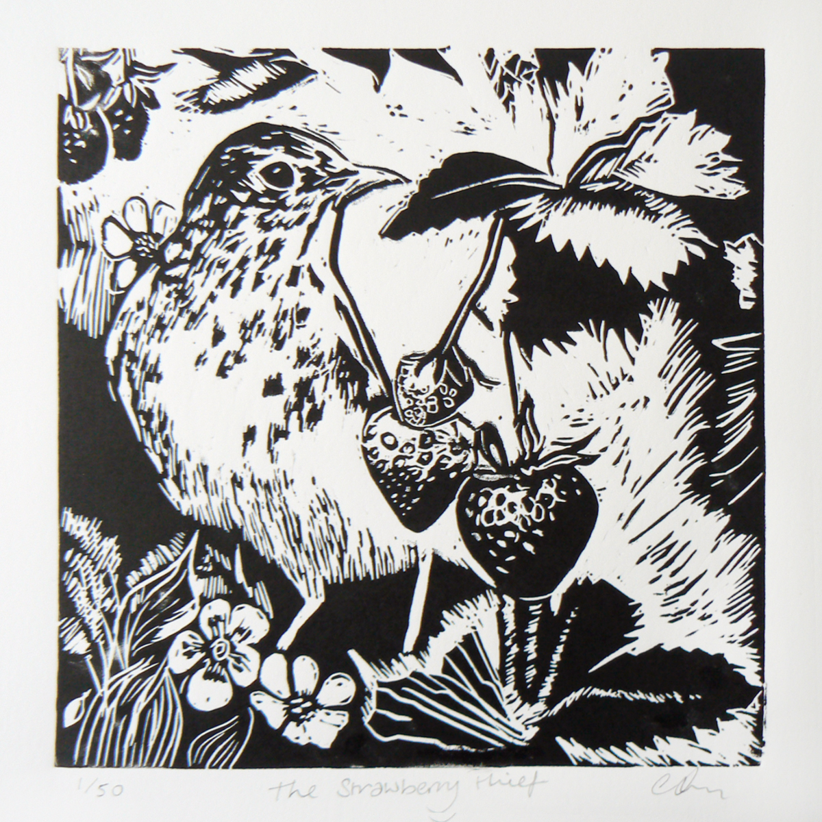 The strawberry thief (2017)