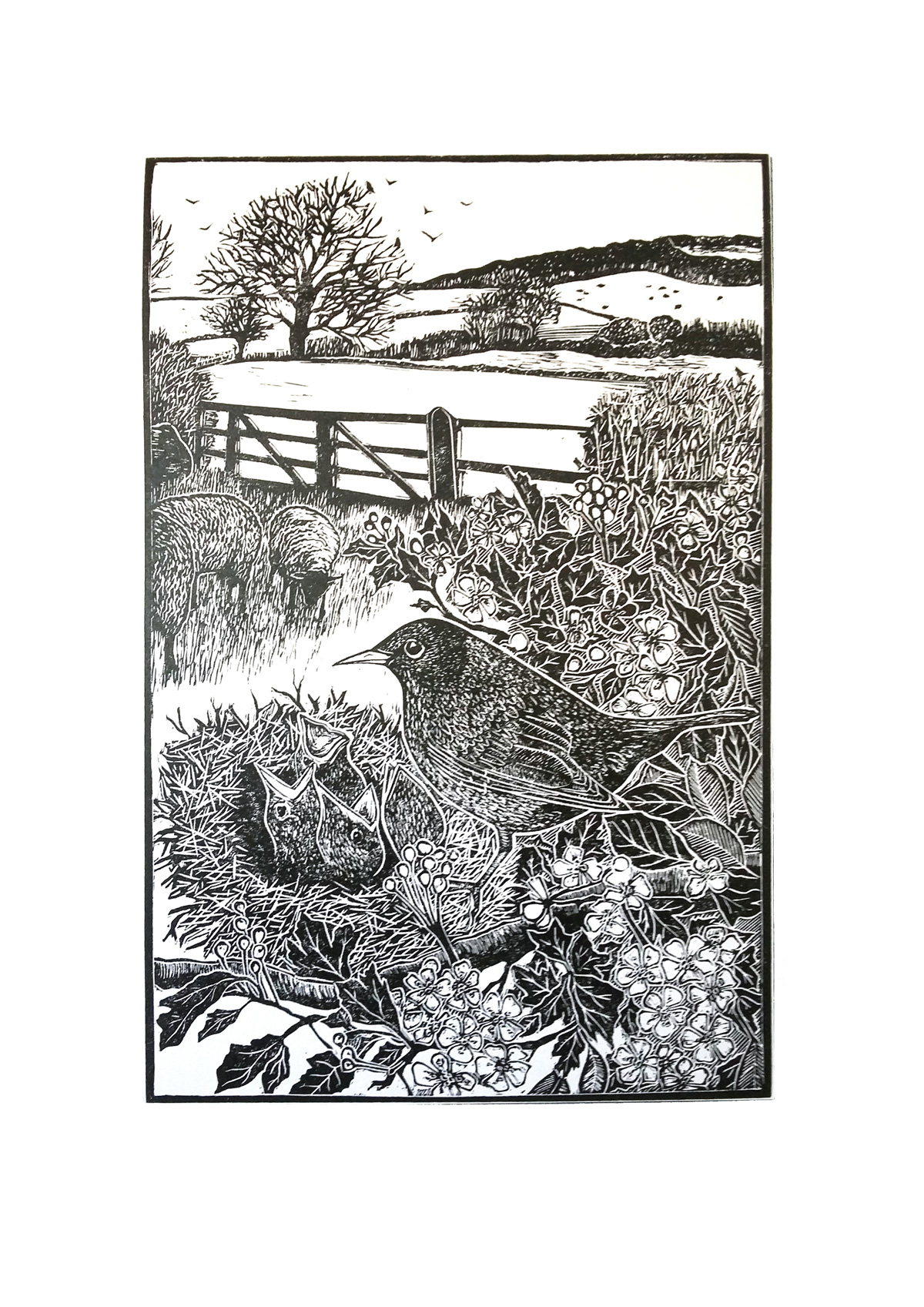 The blackbird's nest (2021)