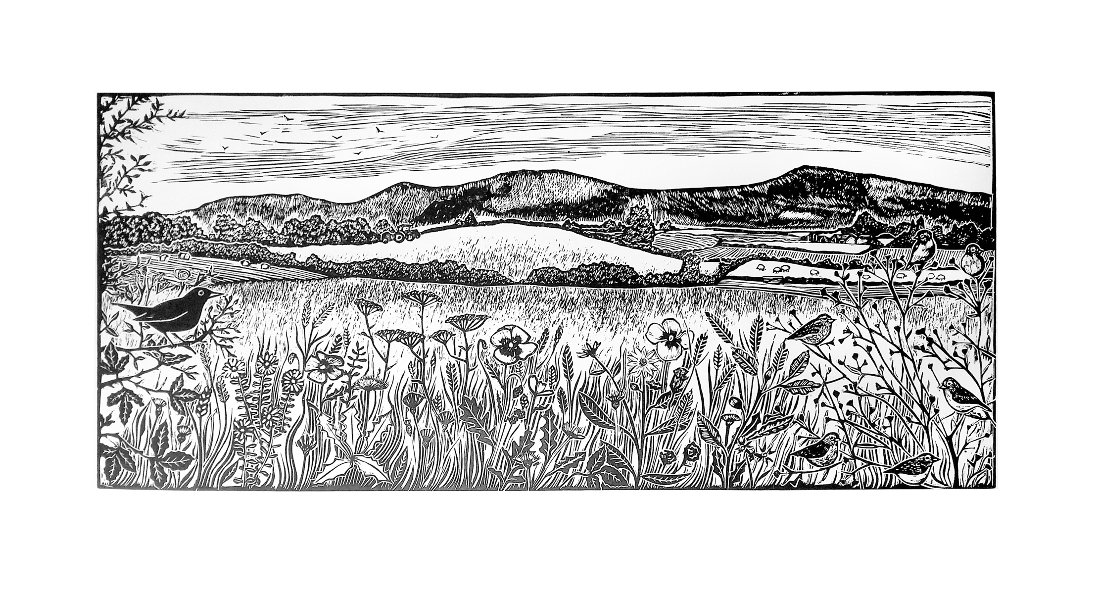 A walk in the country (2023)