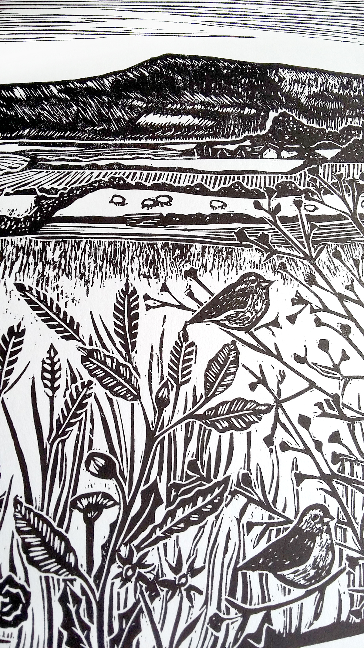 A walk in the country (2023)