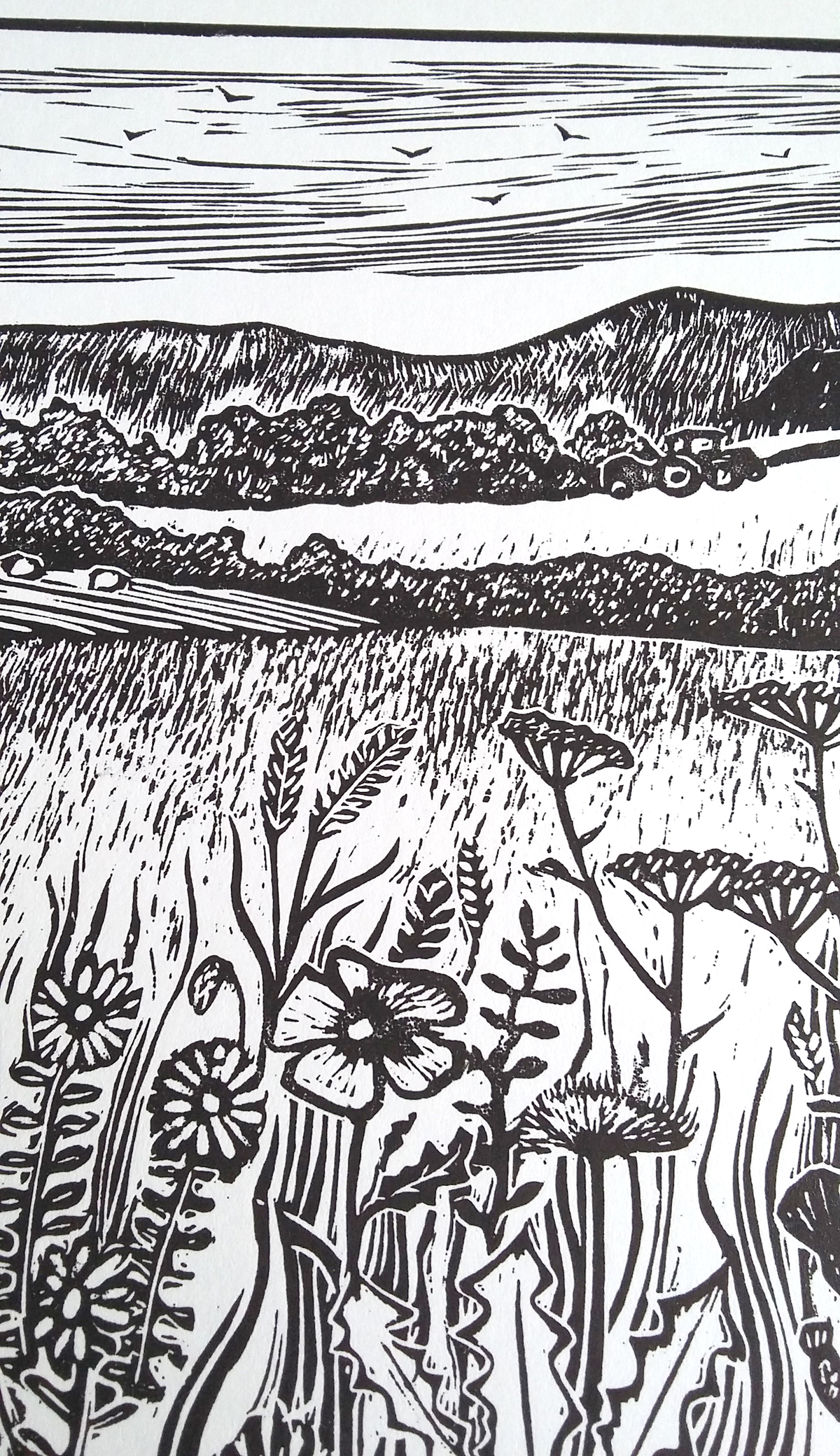 A walk in the country (2023)