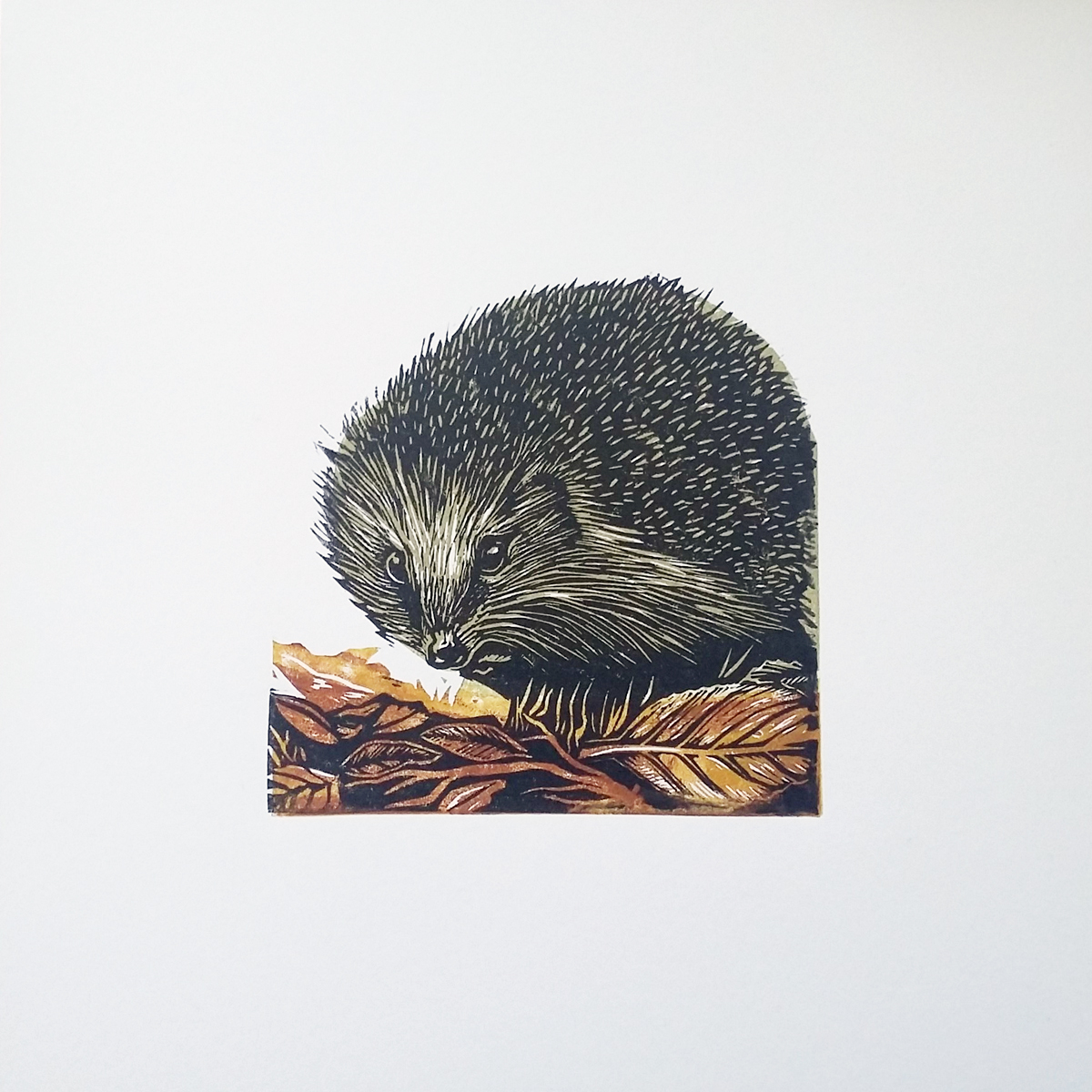 Hedgehog (2020)