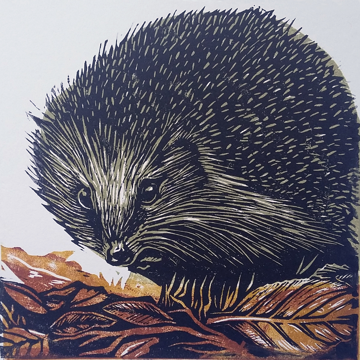 Hedgehog (2020)