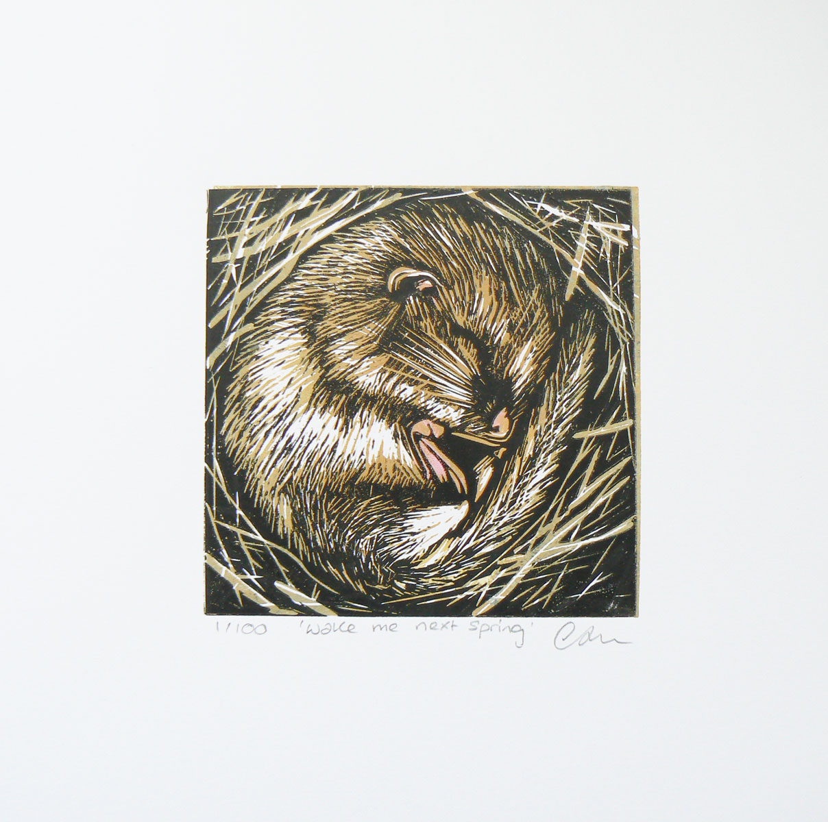 Wake me in spring (2020)