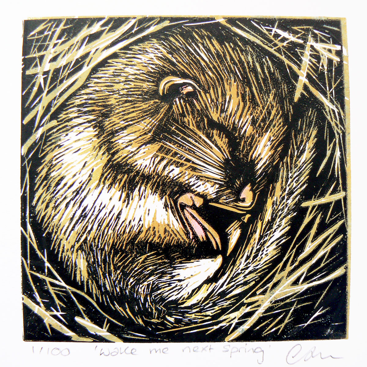 Wake me in spring (2020)