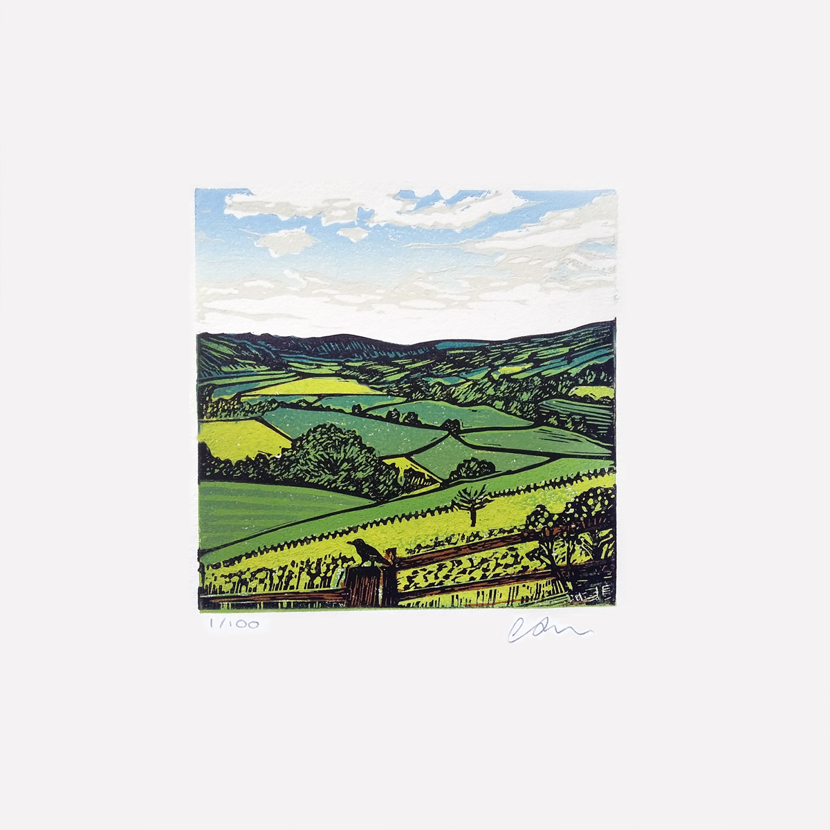 The bird's eye view (2021)