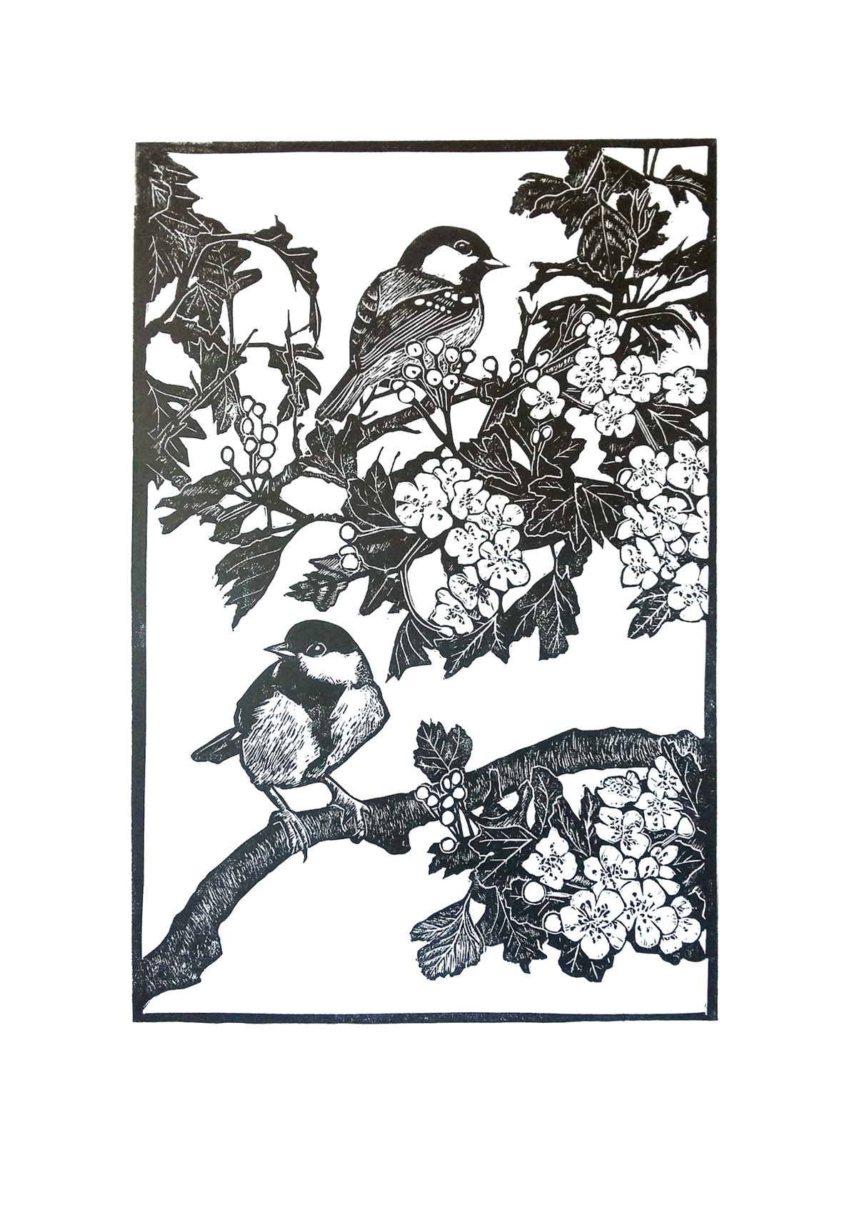 At home in the hawthorn (2022)