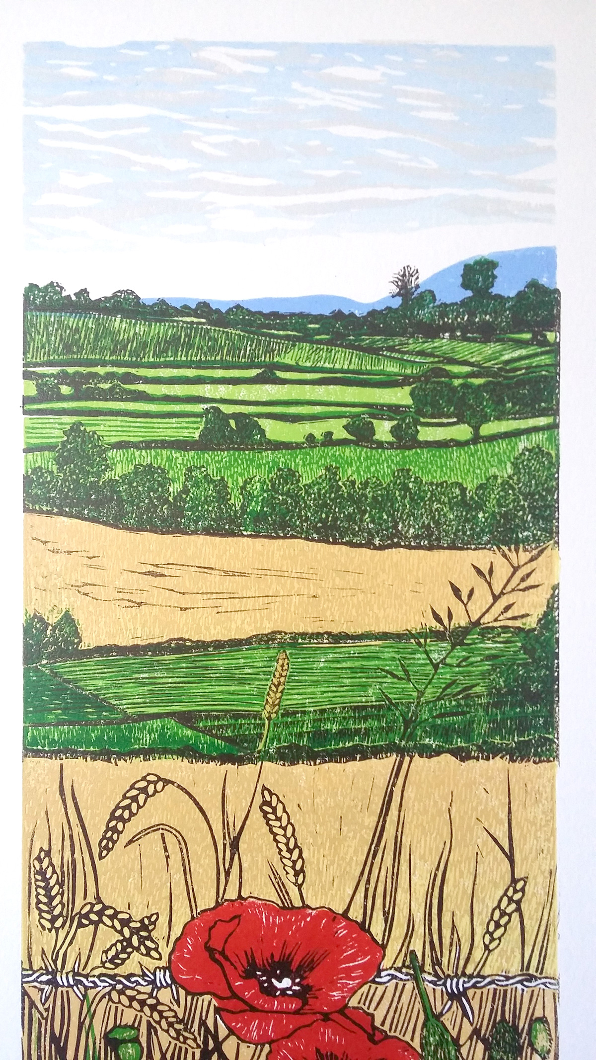 Poppies in the corn (2021)