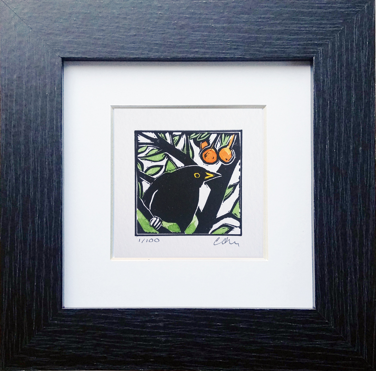 Rowan Berry Blackbird