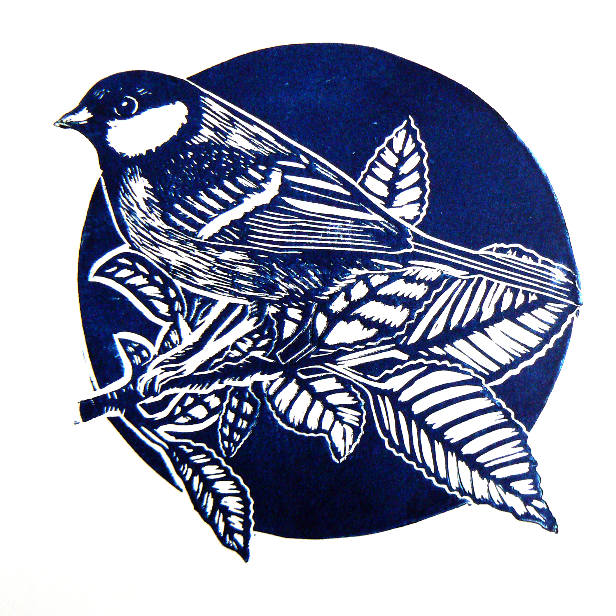 Garden friends #4 (Mr. Great Tit) (2019)