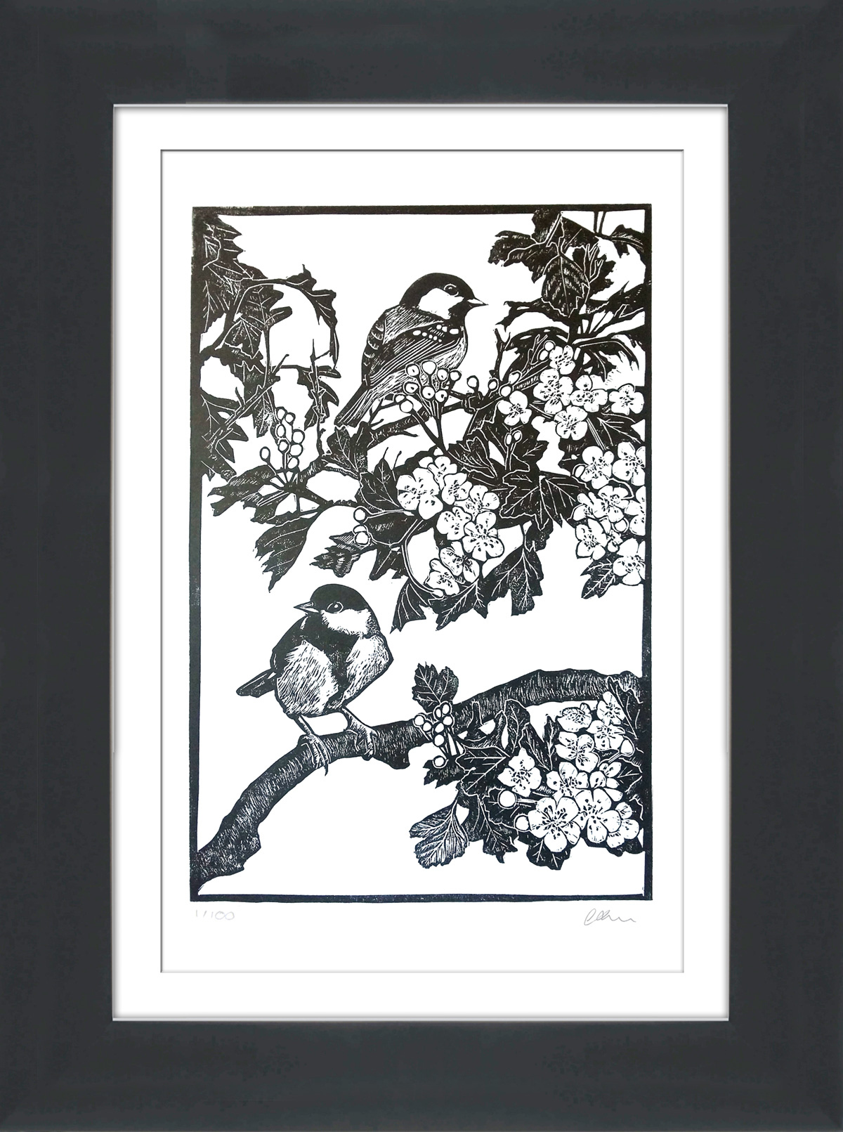 At home in the hawthorn (2022)