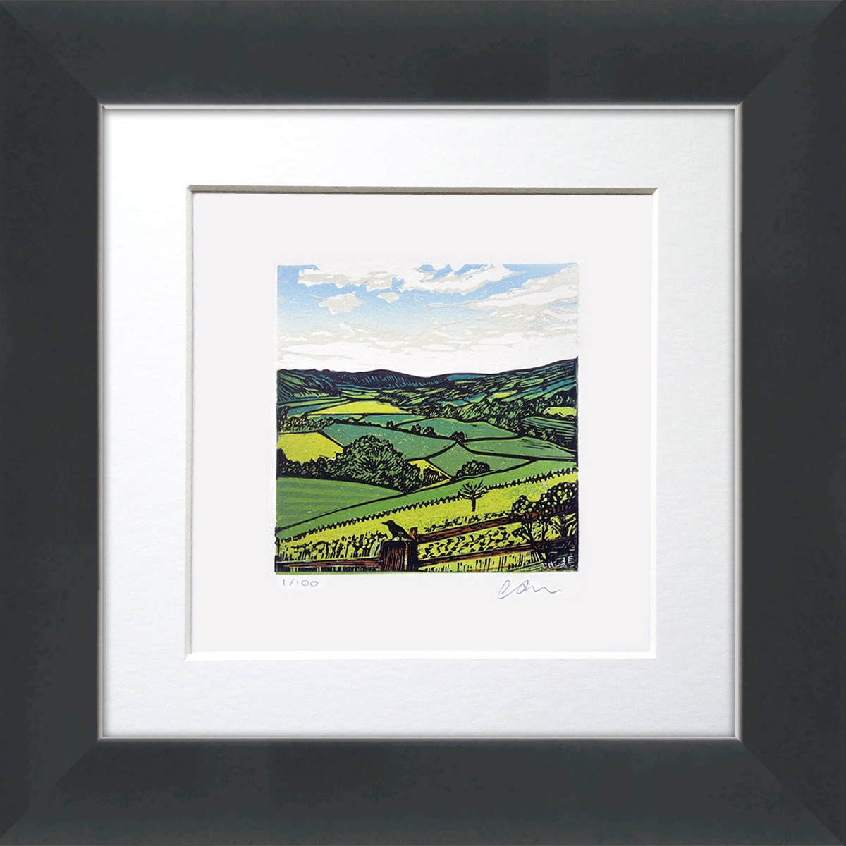 The bird's eye view (2021)