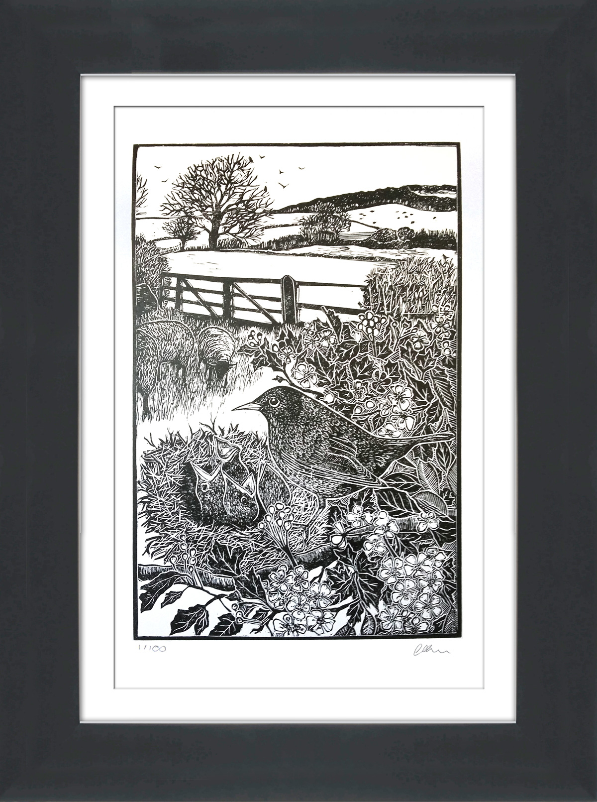 The blackbird's nest (2021)