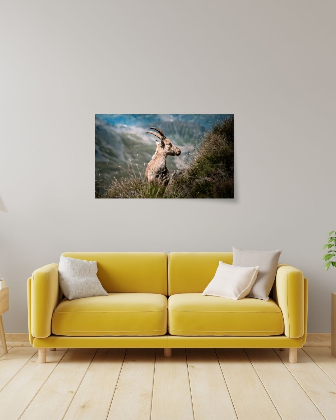 Jeune Bouquetin (horizontal)