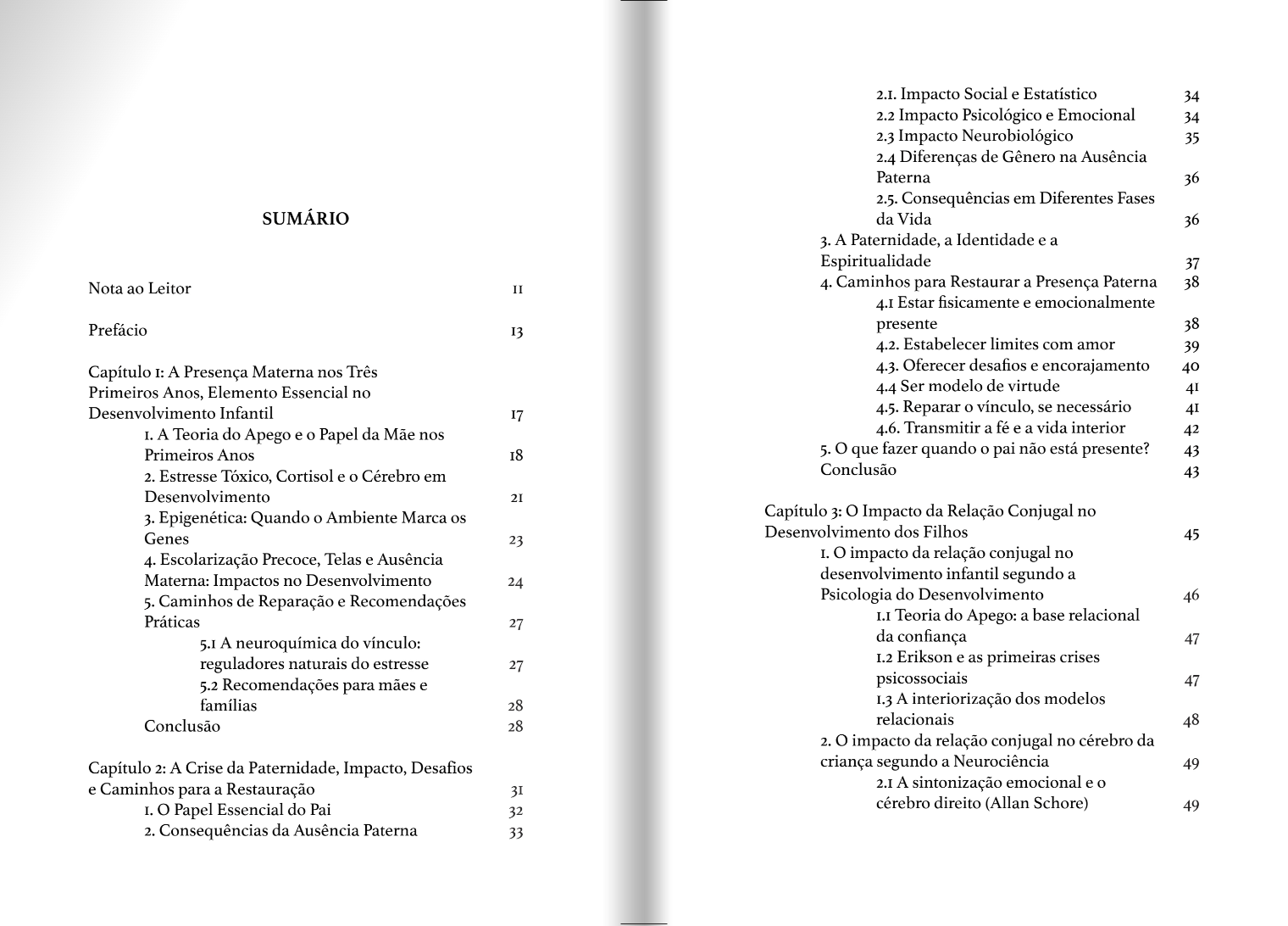 Salvar os Filhos -Ebook (Epub)