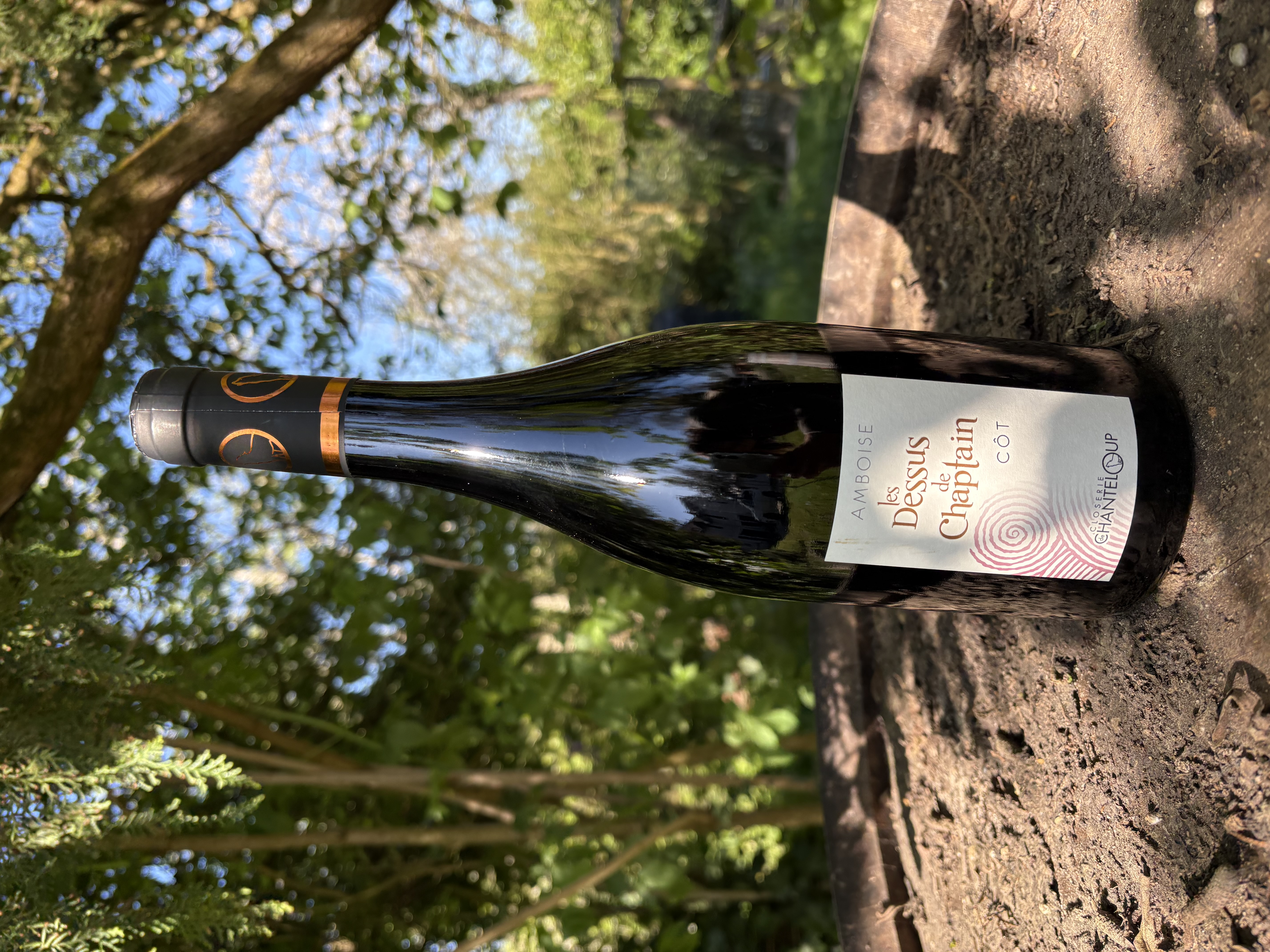 Les Dessus de Chaptain