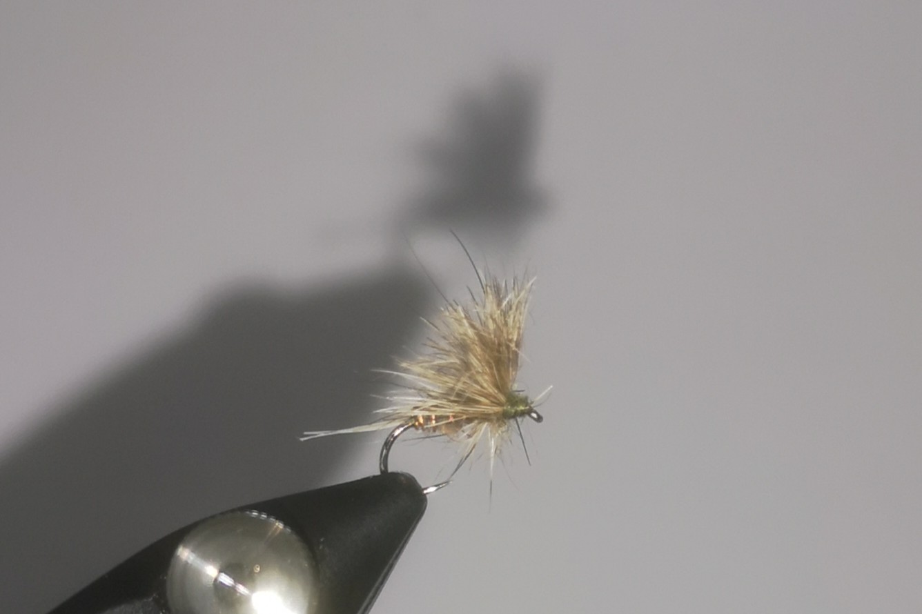 L'Oreille de Lièvre