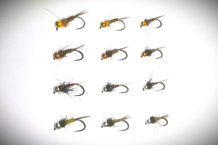 Le Pack "ESSENTIEL" 12 Nymphes