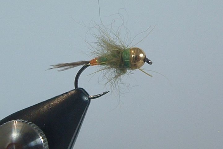 Nymphe Chrysope Verte