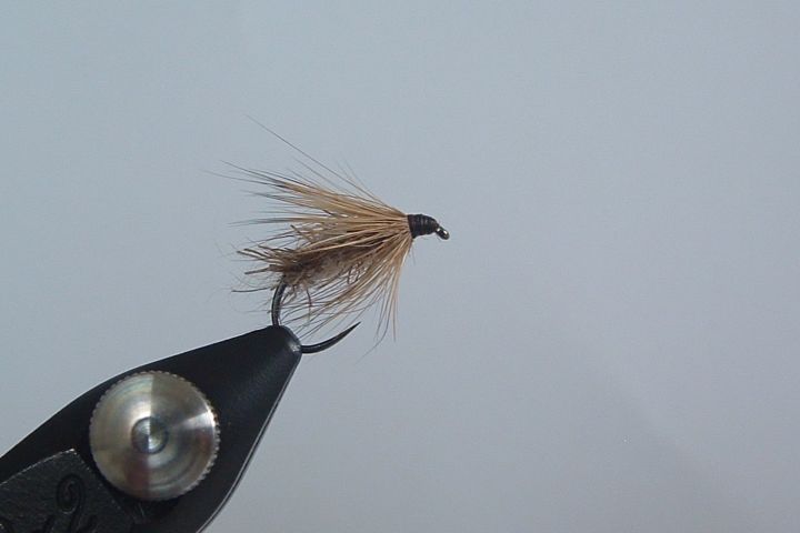 Le Sedge en Lièvre