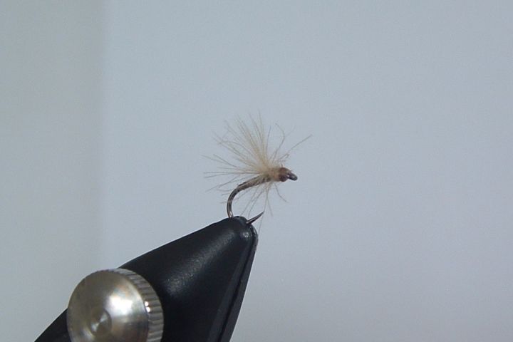 Le Mini Mosquito