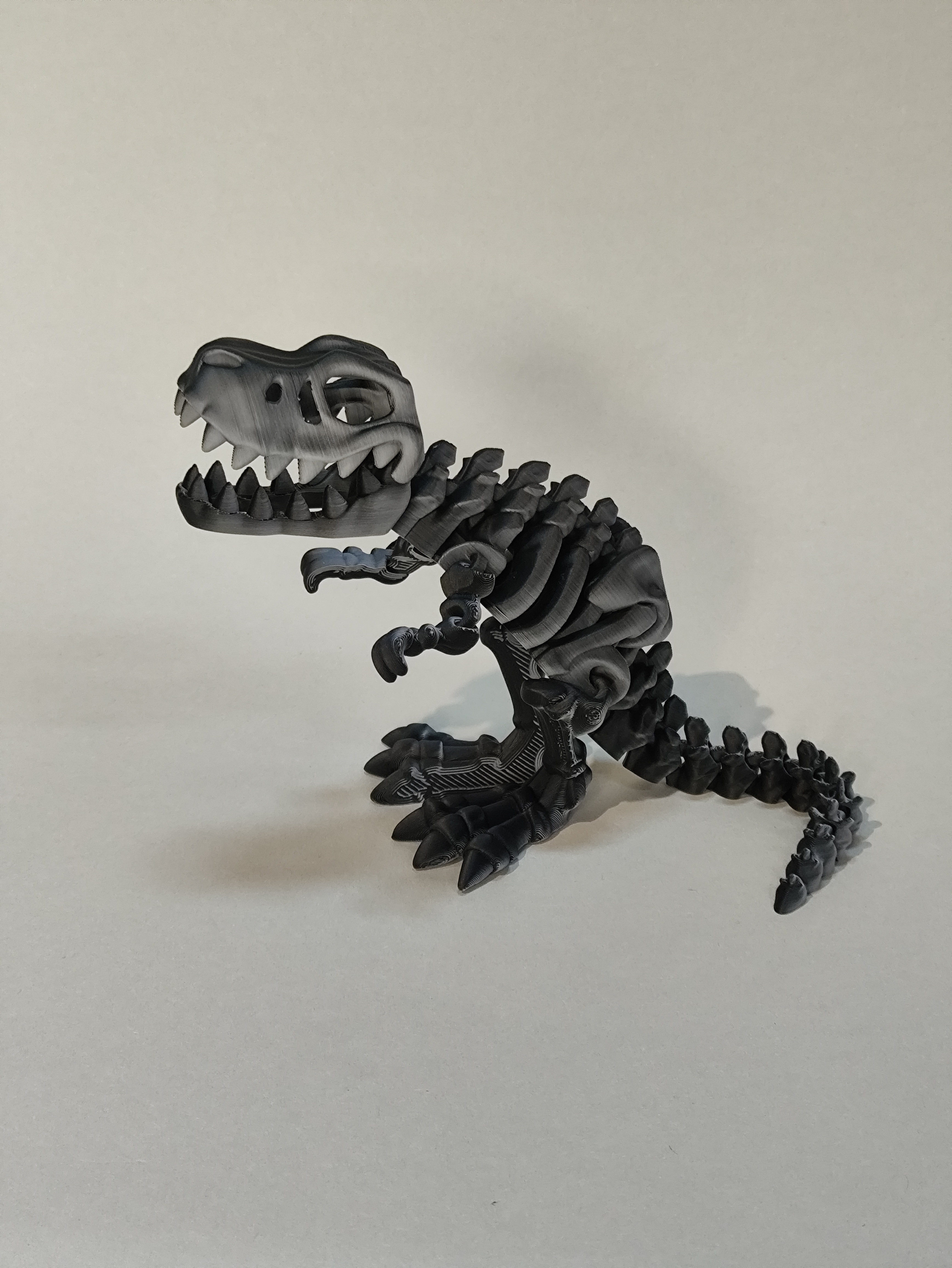 T-rex dino skeletas