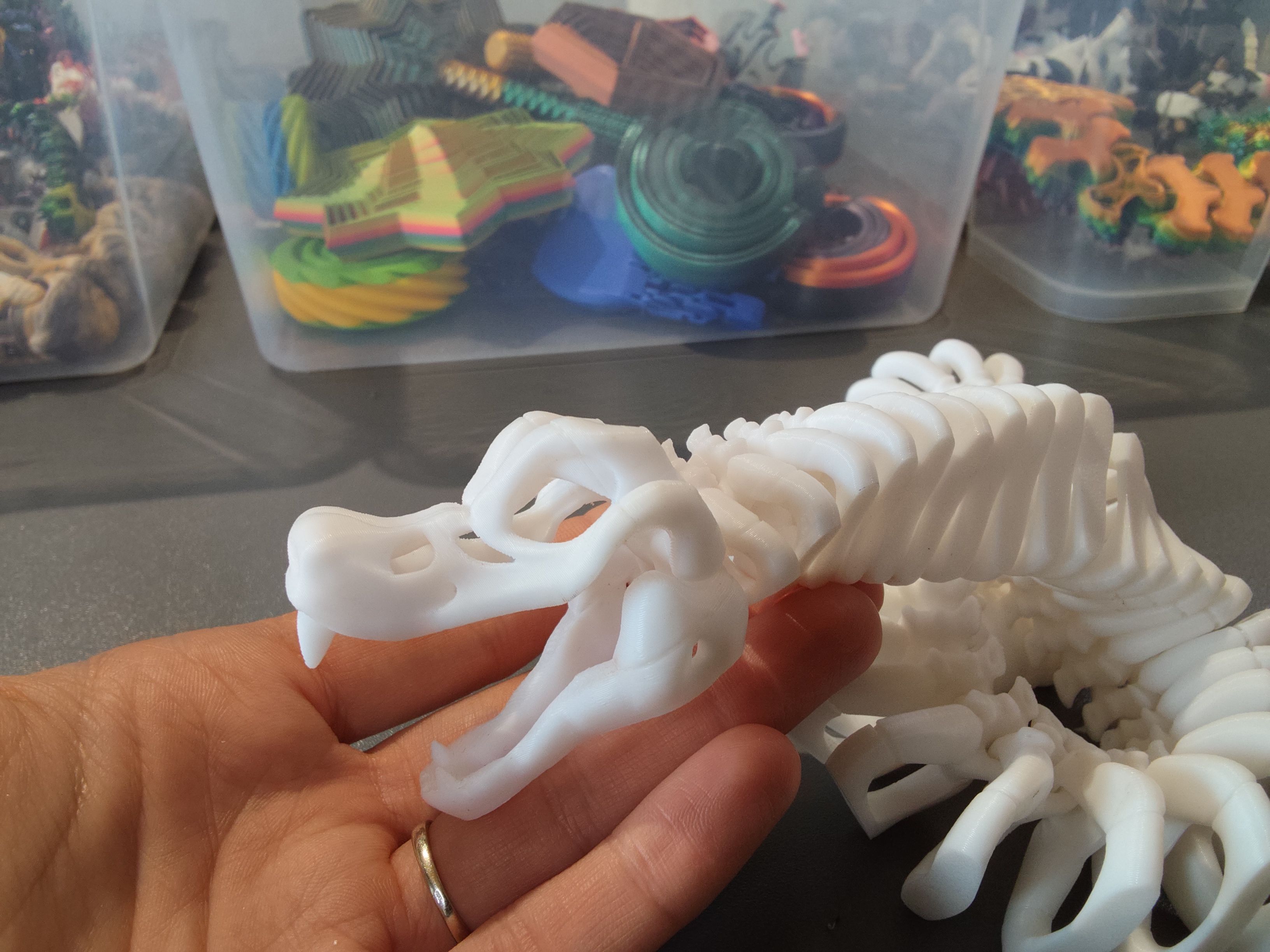 Gyvatės skeletas su defektais baltas