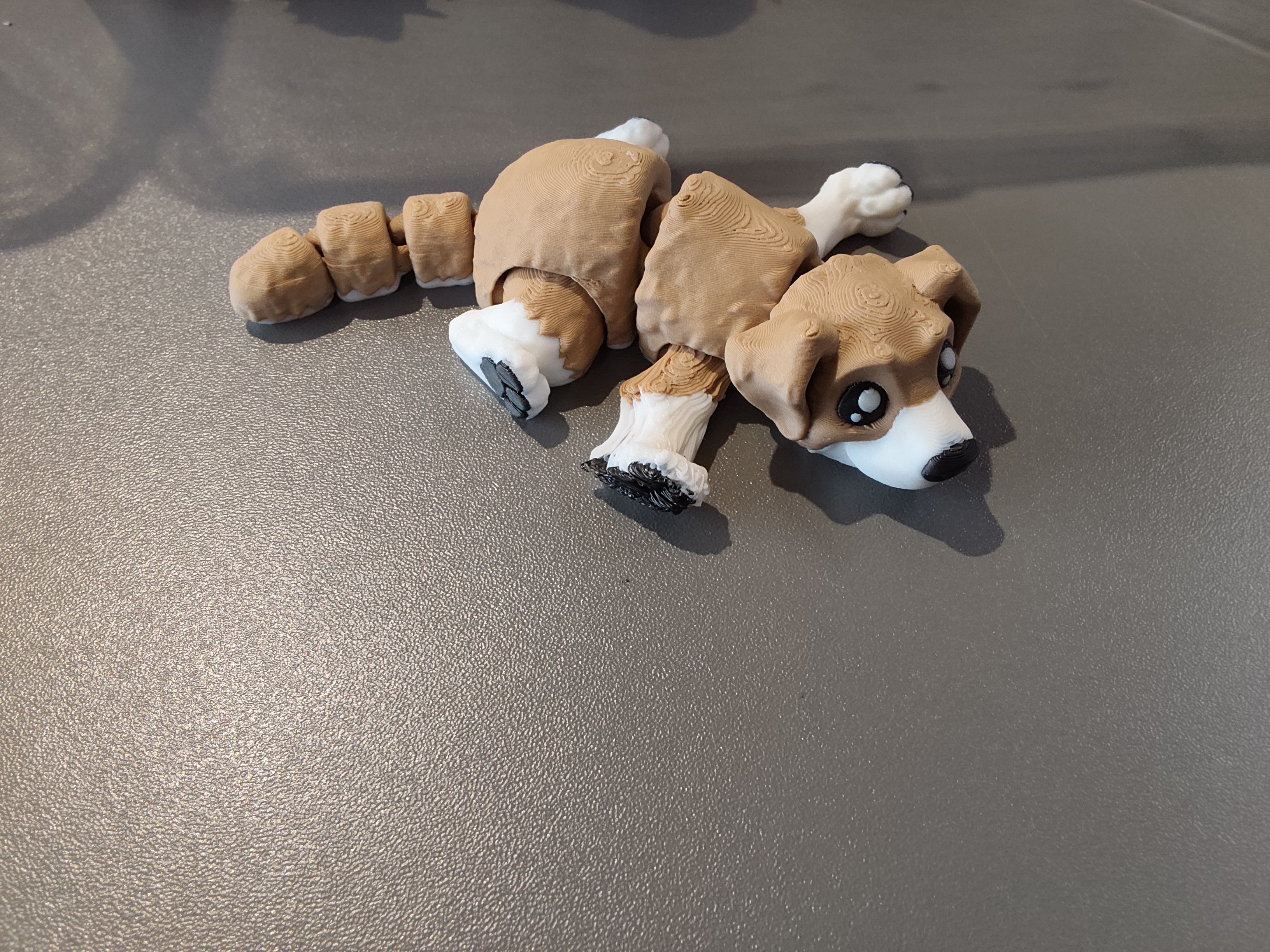 Šuniukas su defektu