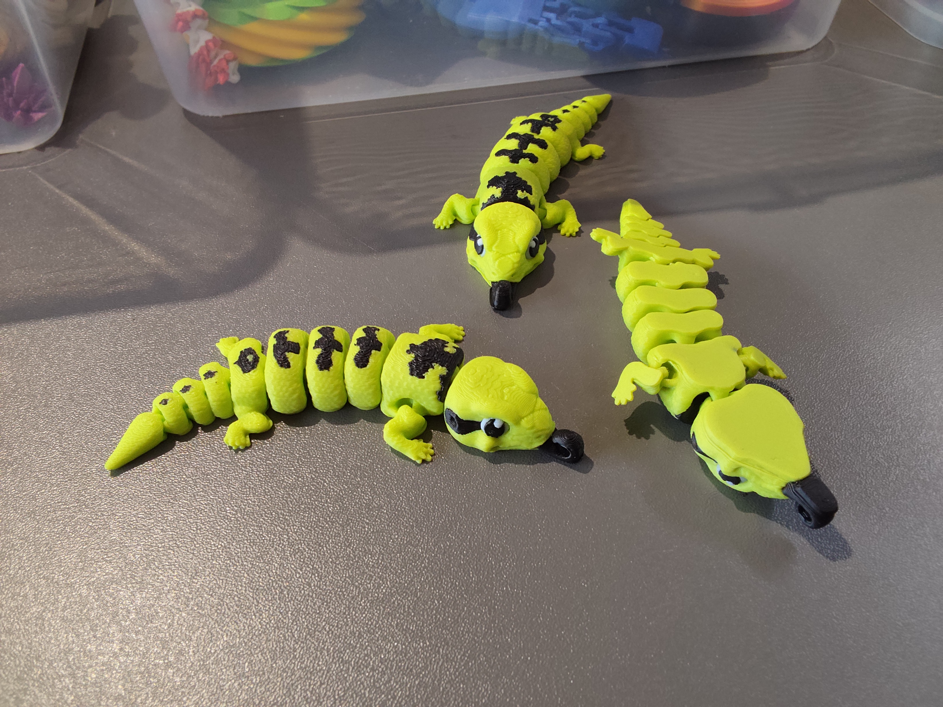 Driežiukas su defektais