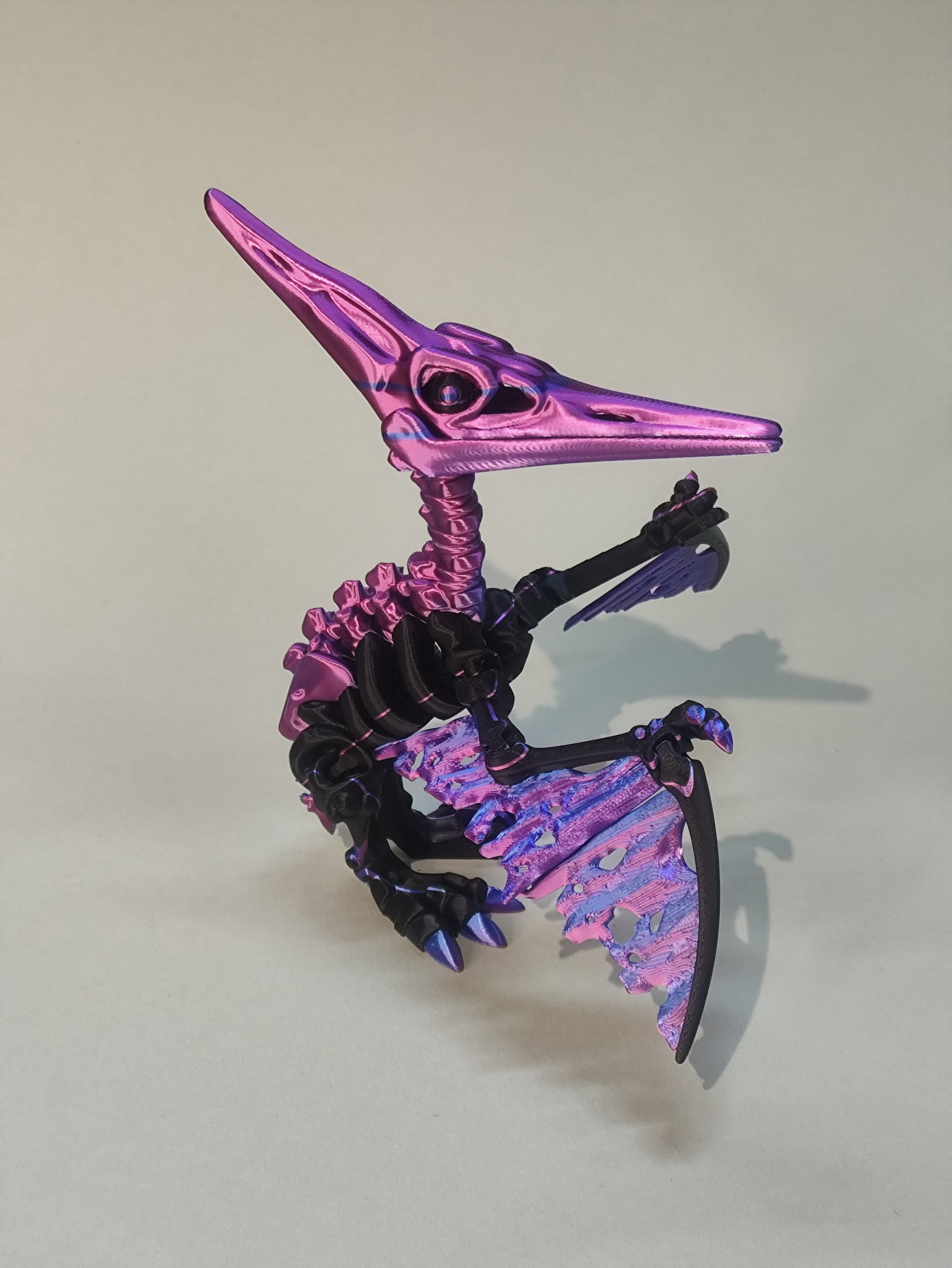 Dino paukštis-skeletas