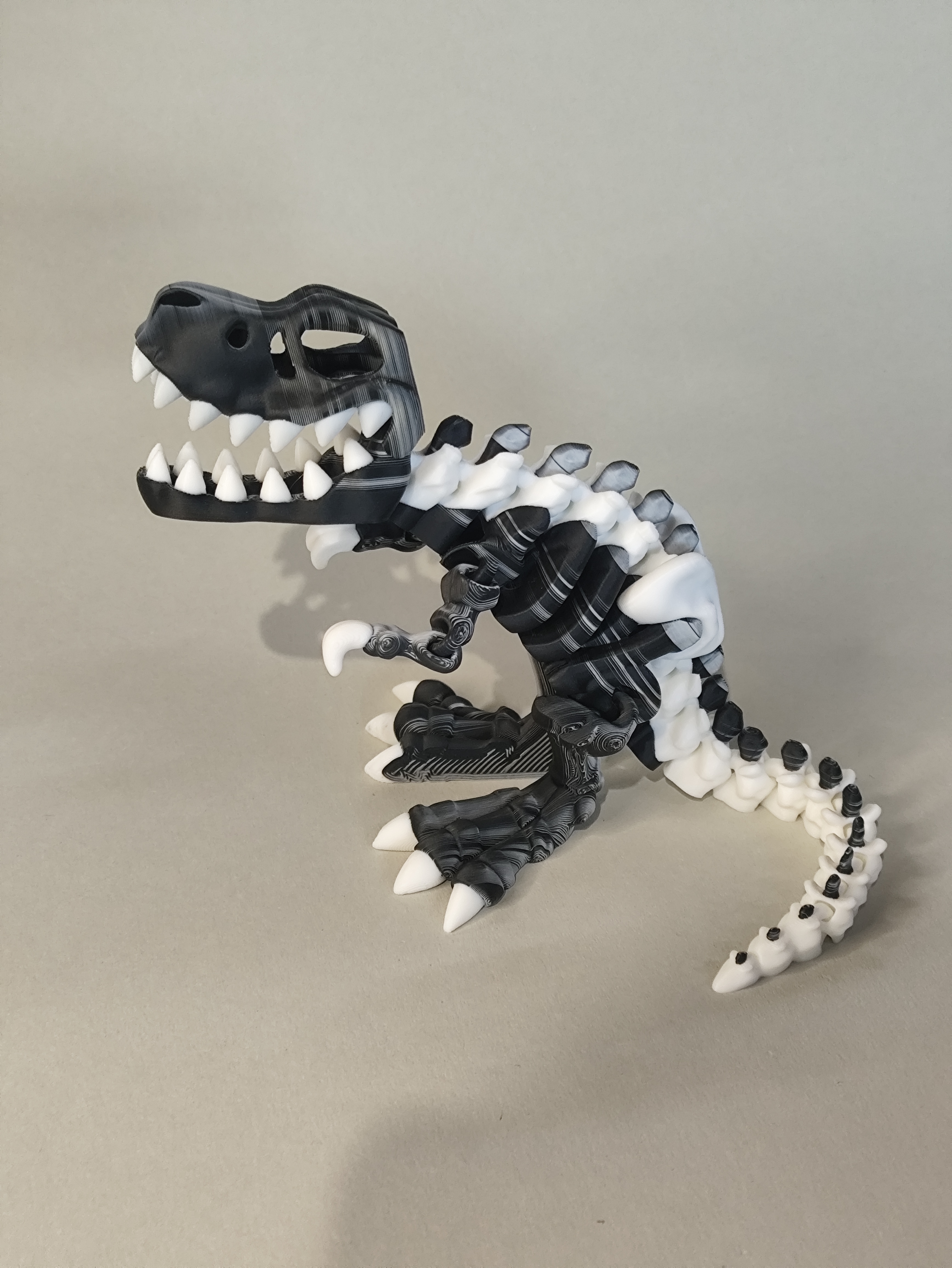 T-rex dino skeletas