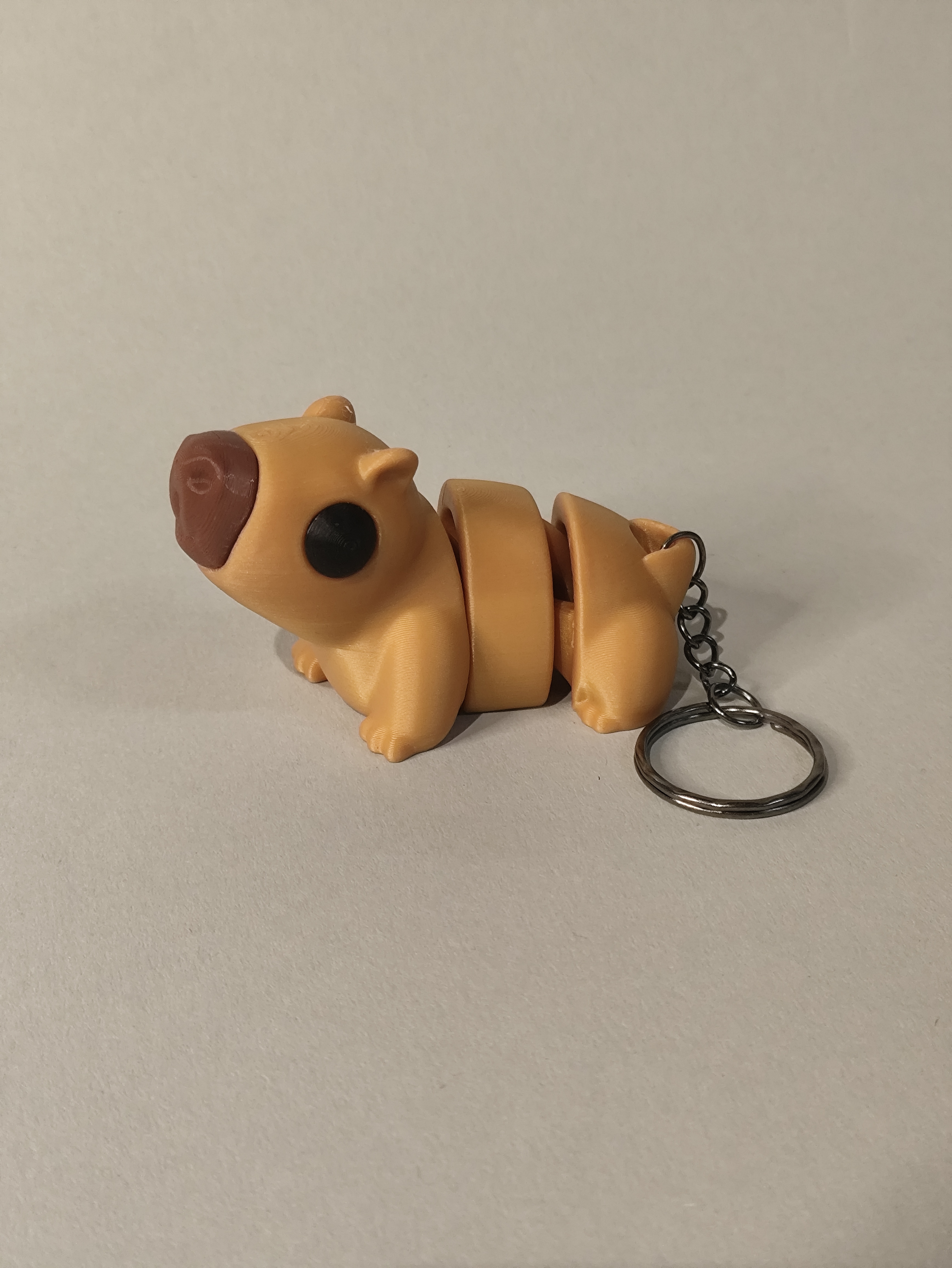 Kapibara - pirmas modelis