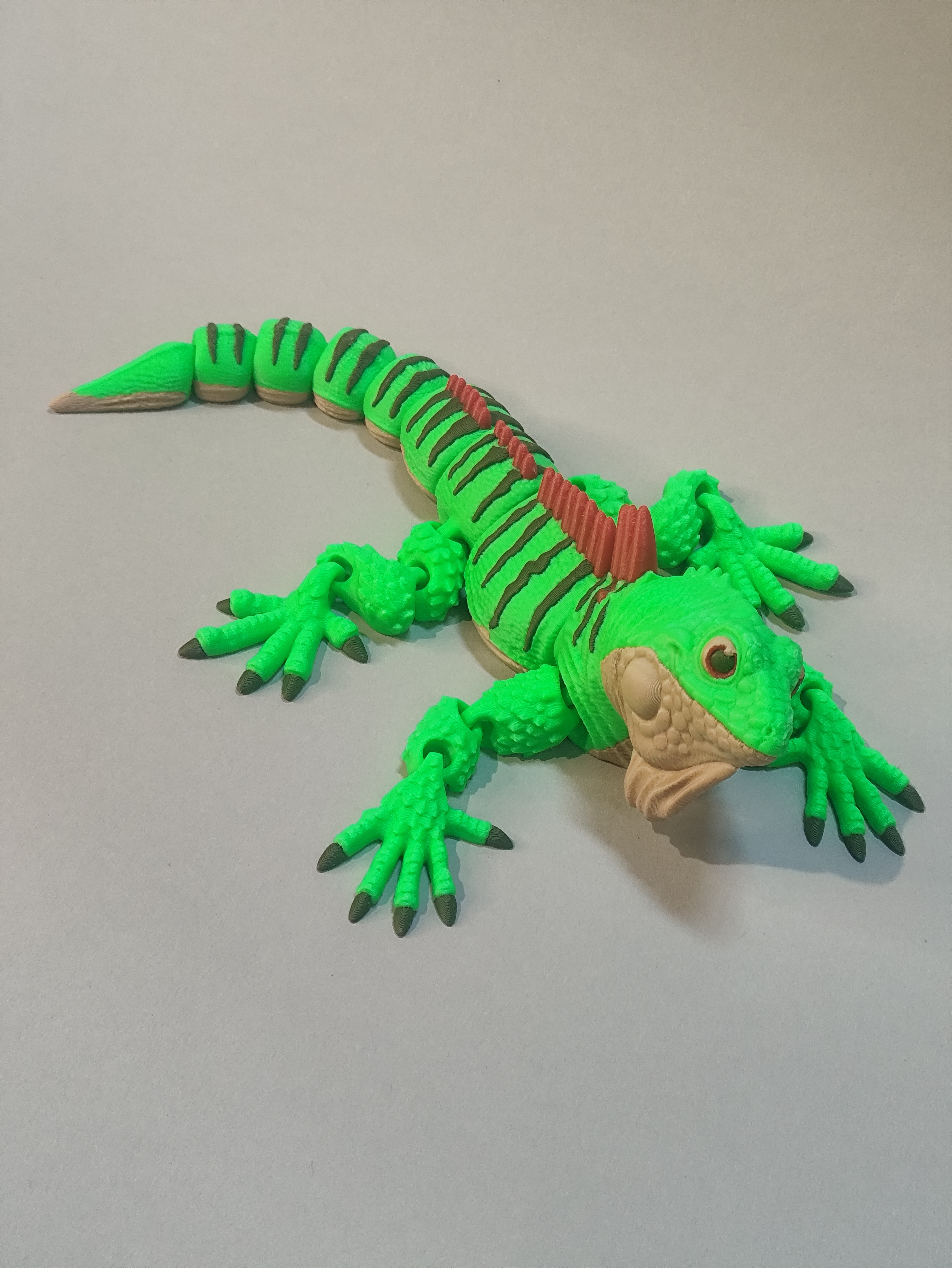 Iguana