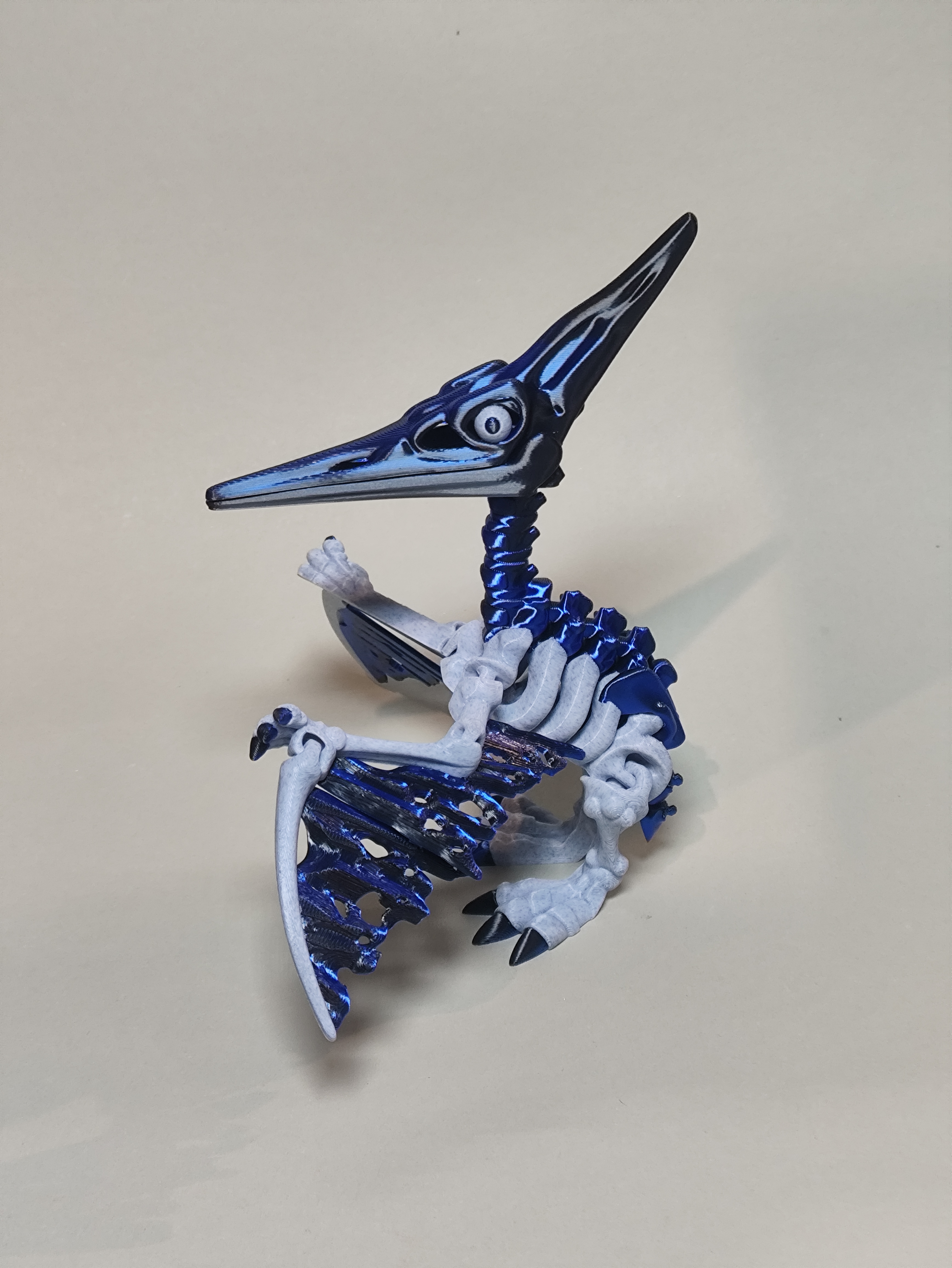 Dino paukštis-skeletas