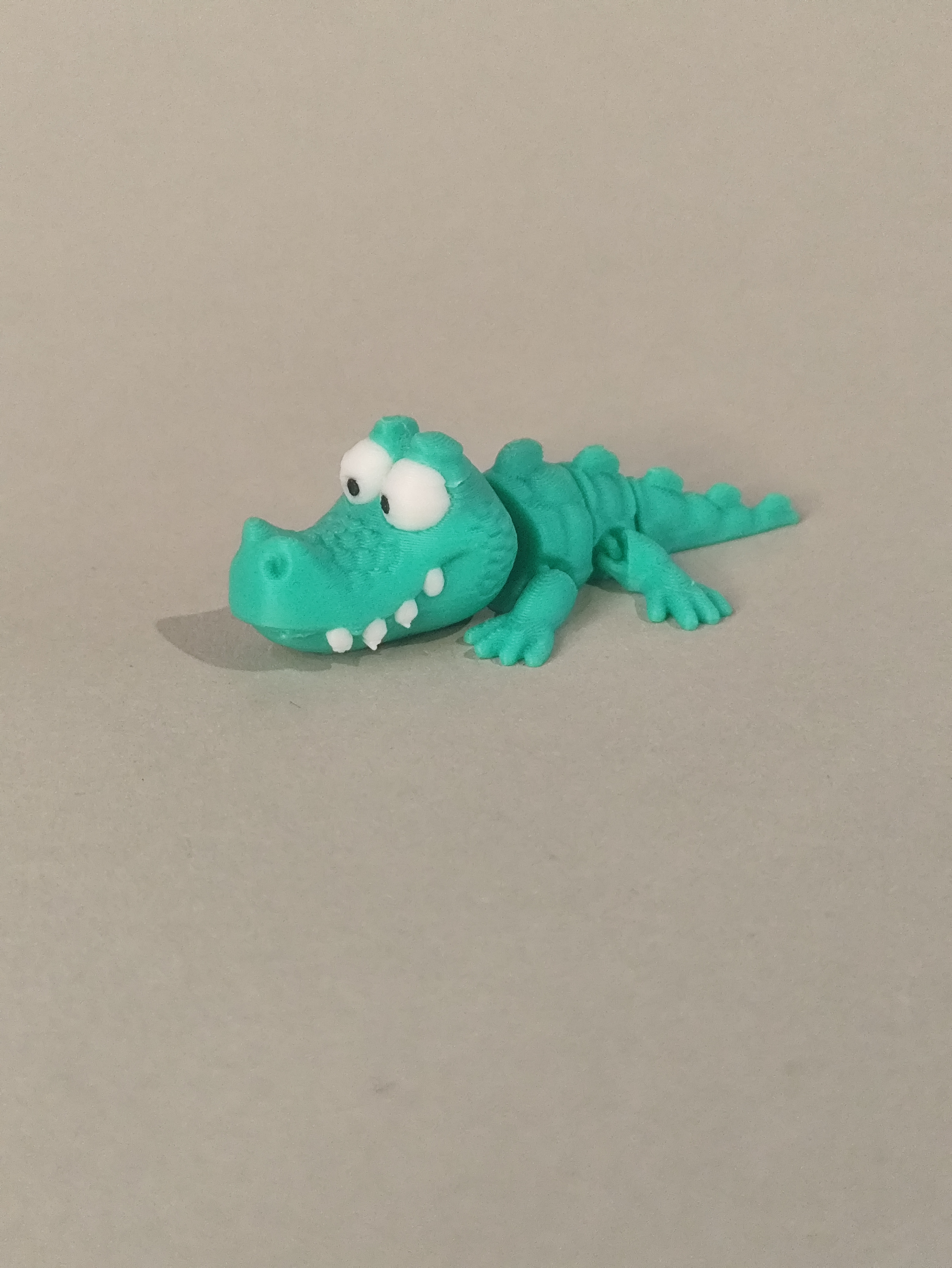 Mini ALIGATORIUS