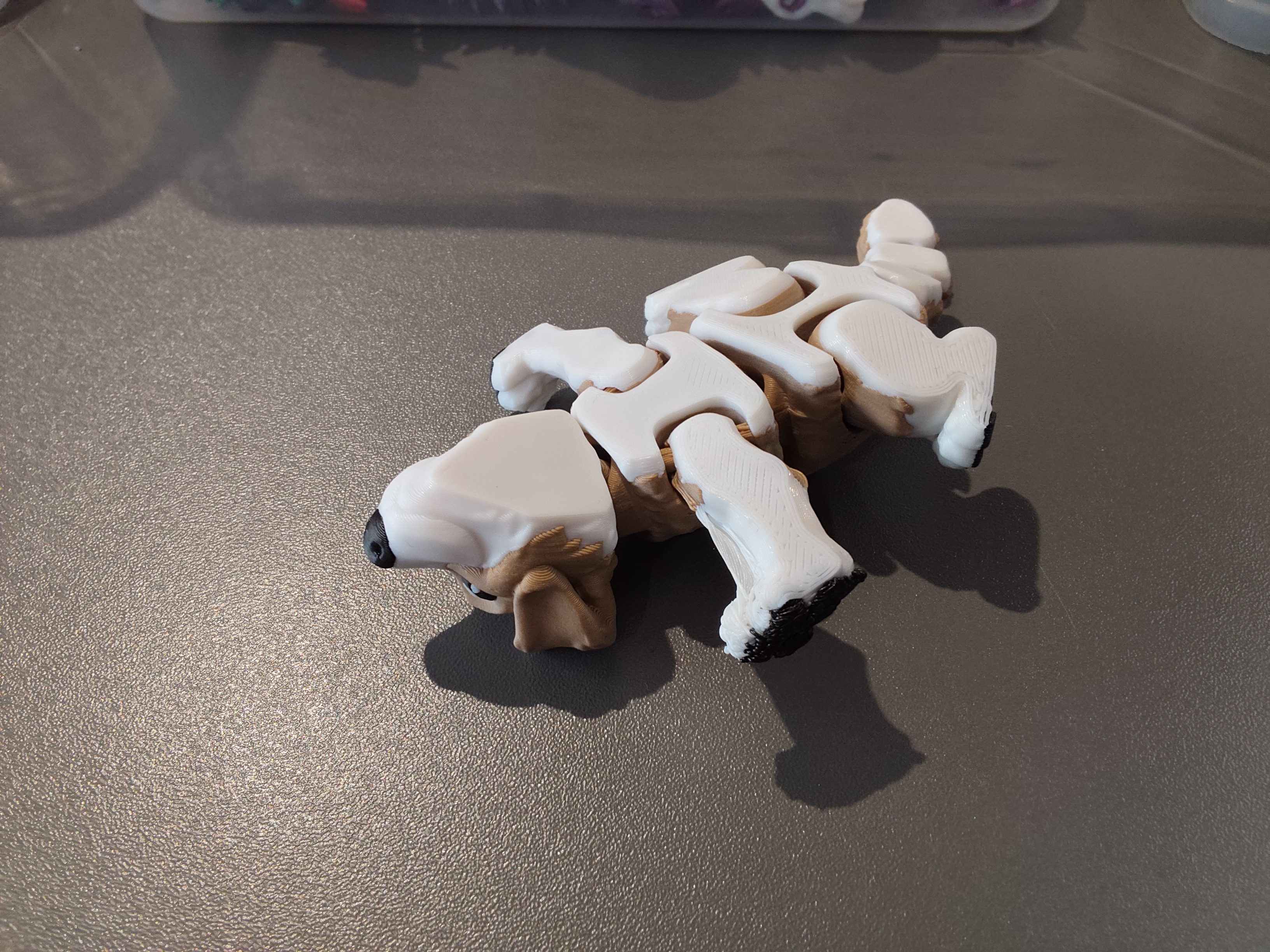 Šuniukas su defektu