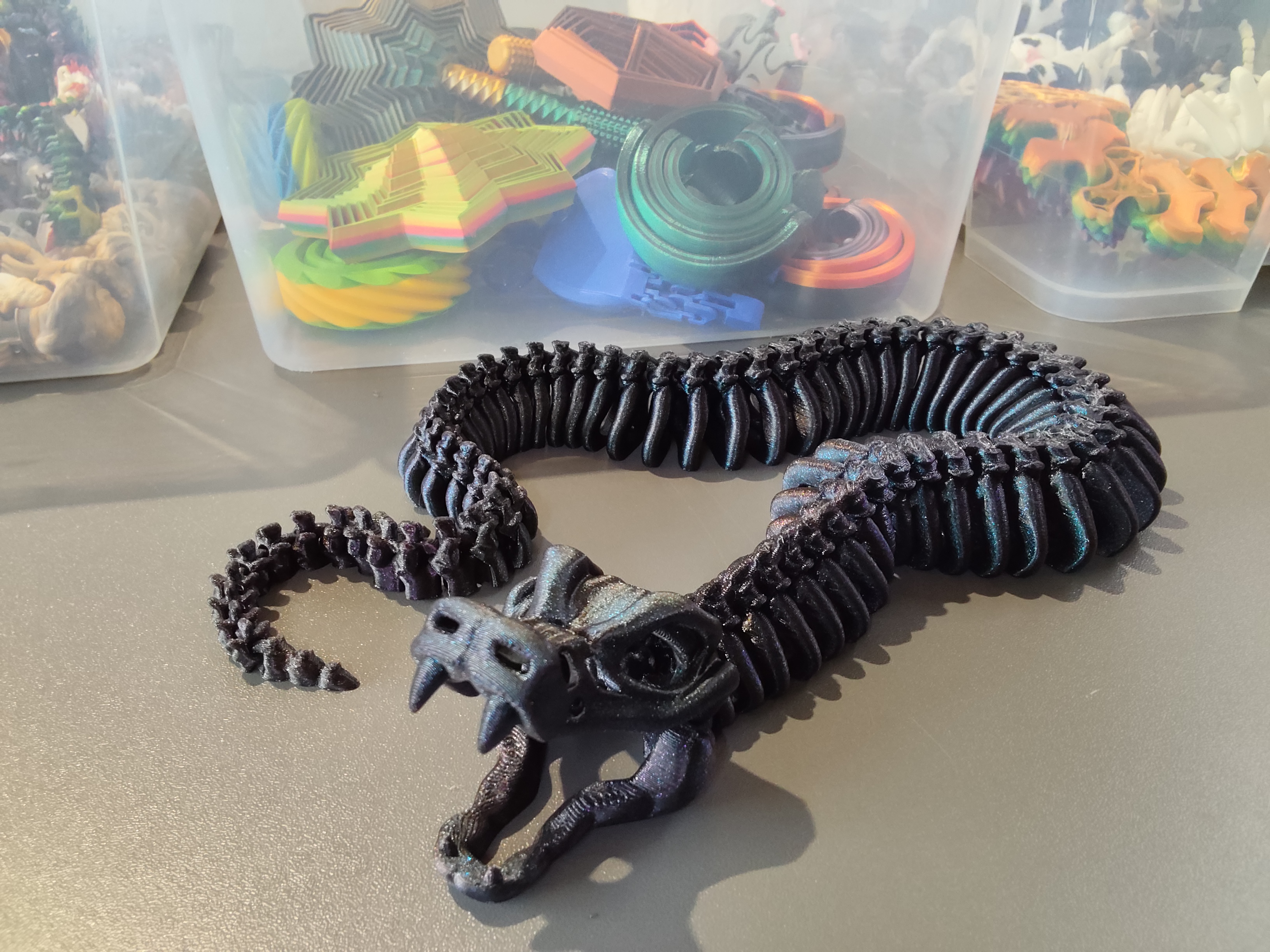 Gyvatės skeletas su defektais 