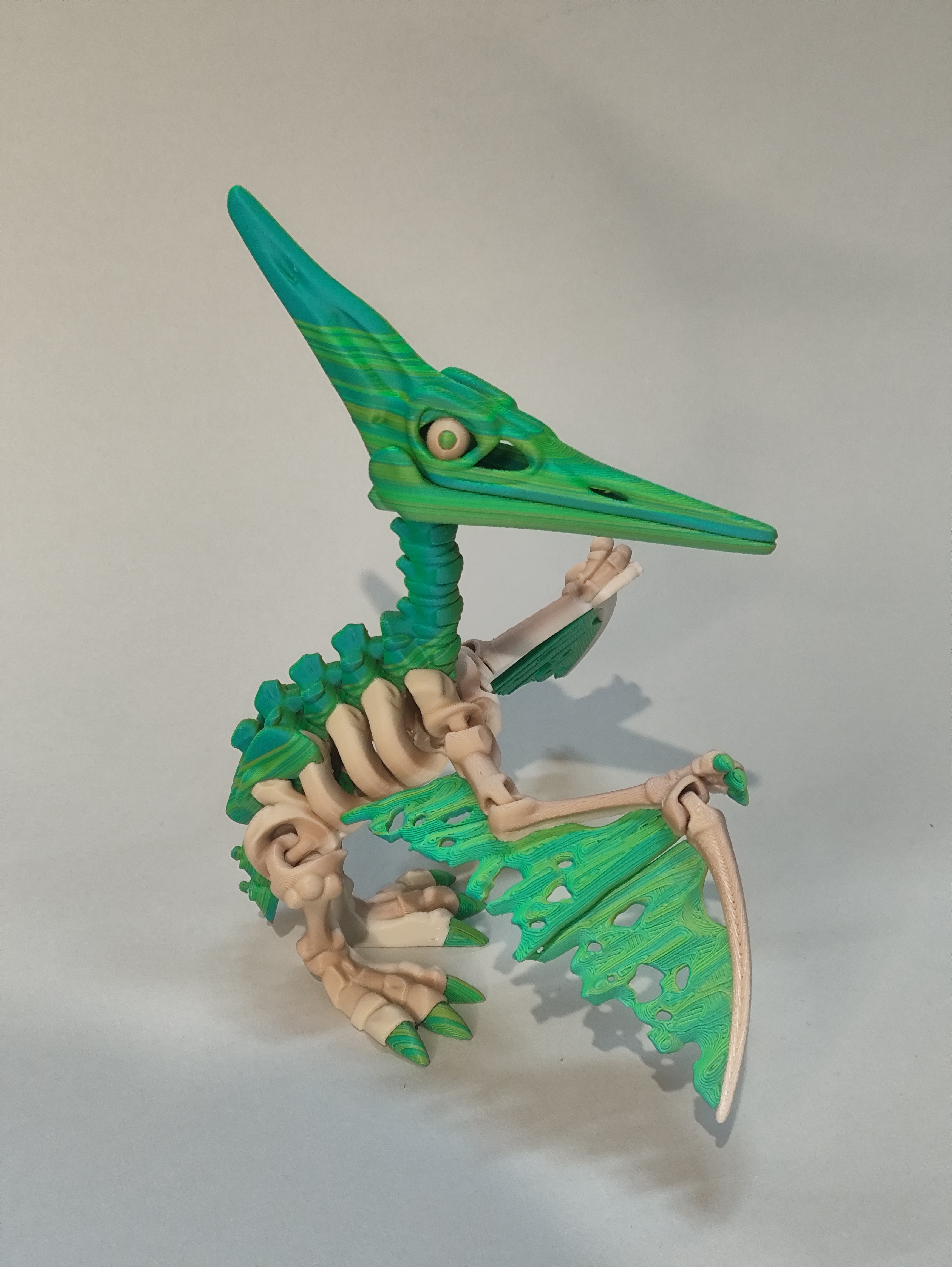 Dino paukštis-skeletas