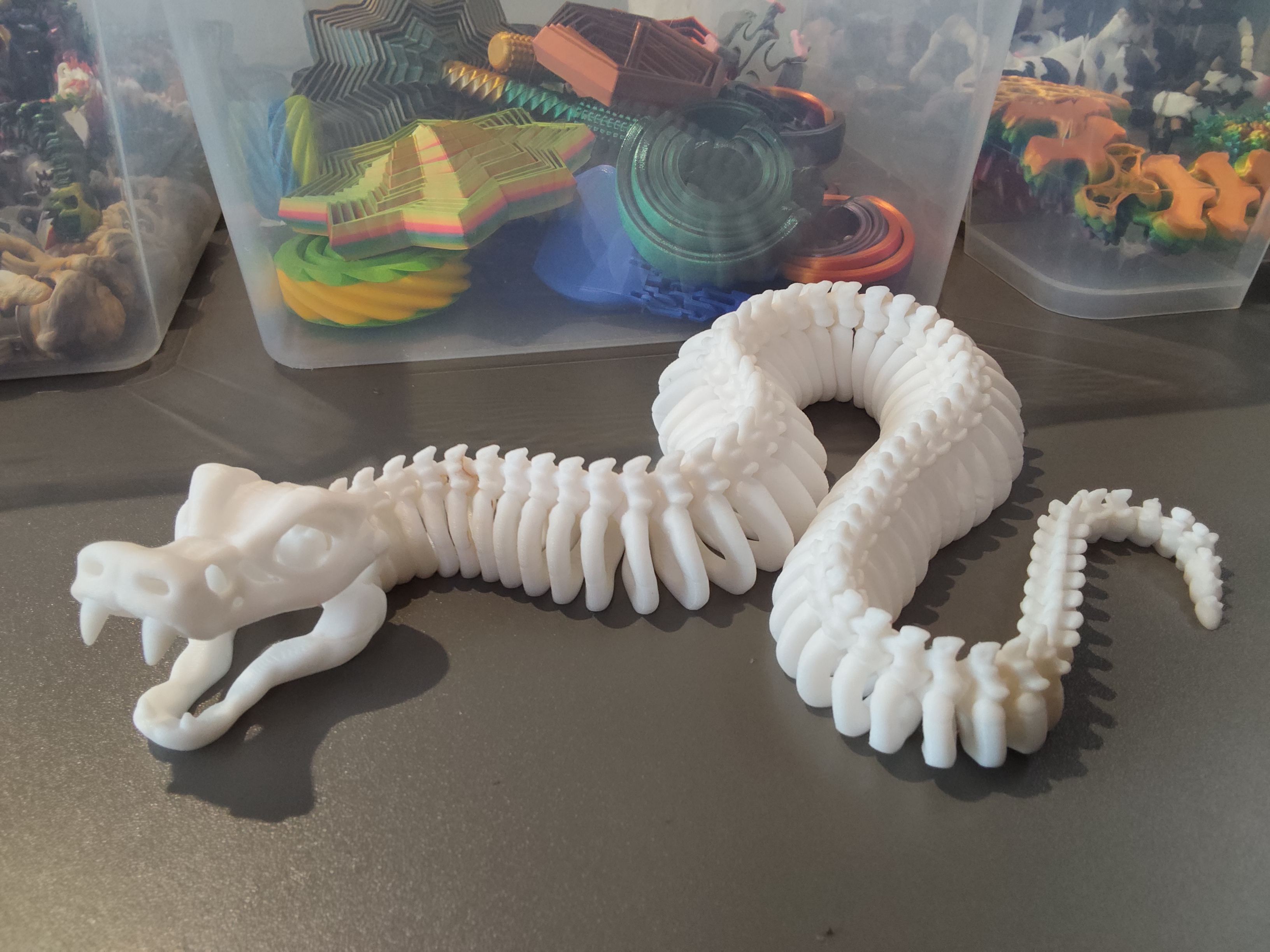 Gyvatės skeletas su defektais baltas